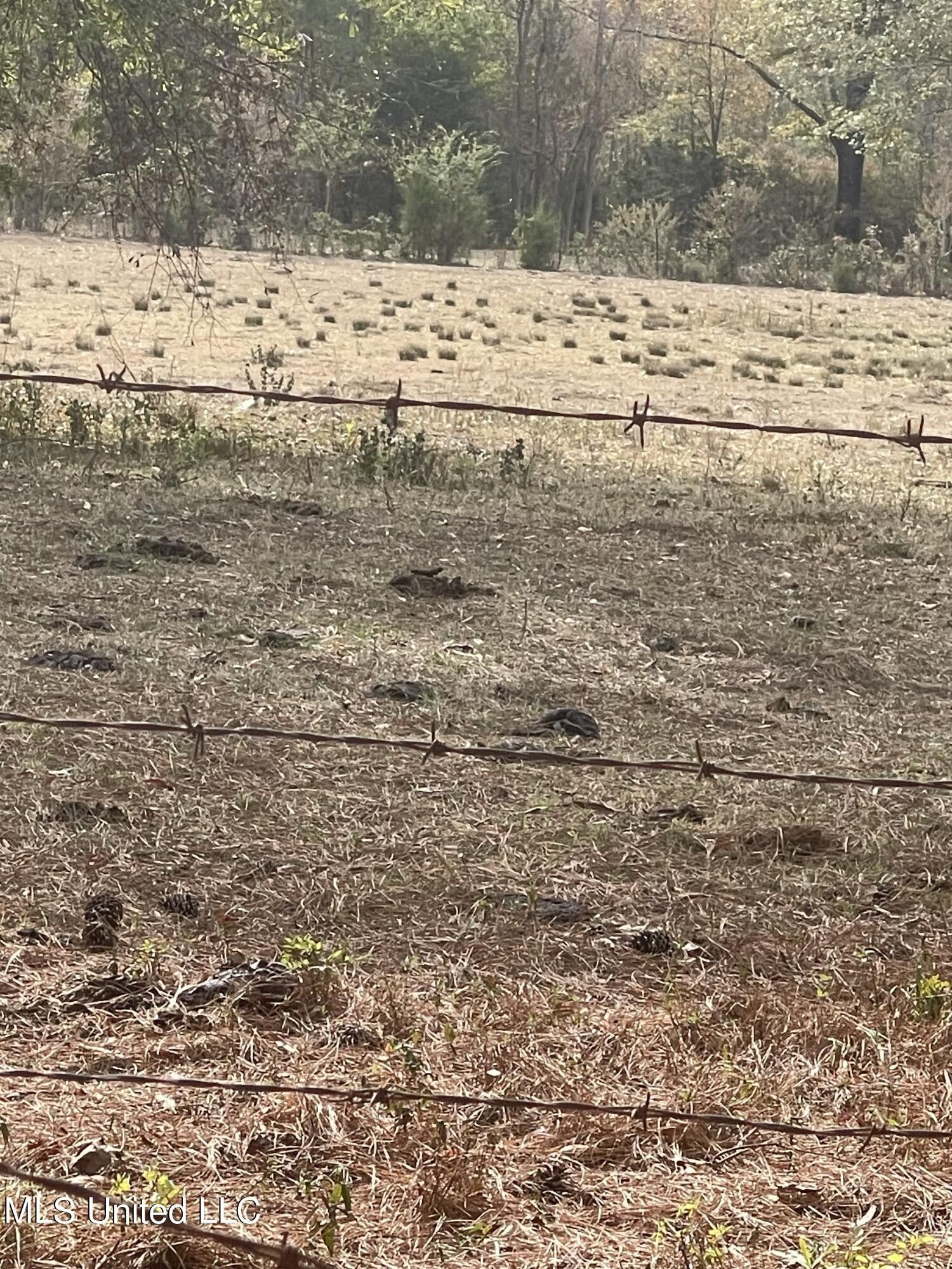 4.1 acres in Rankin County, Mississippi