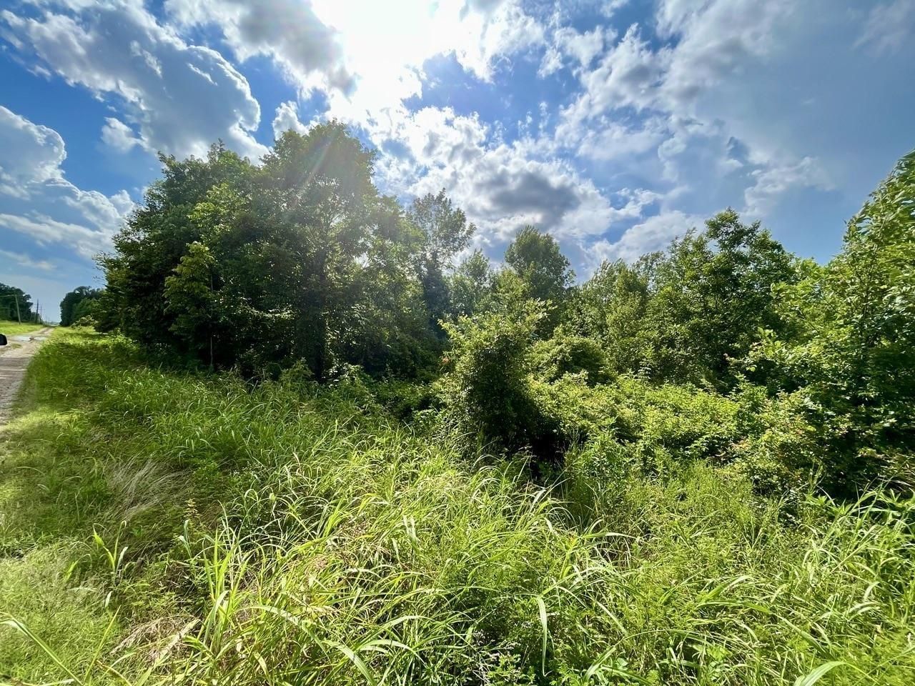 30 acres in Tensas Parish, Louisiana