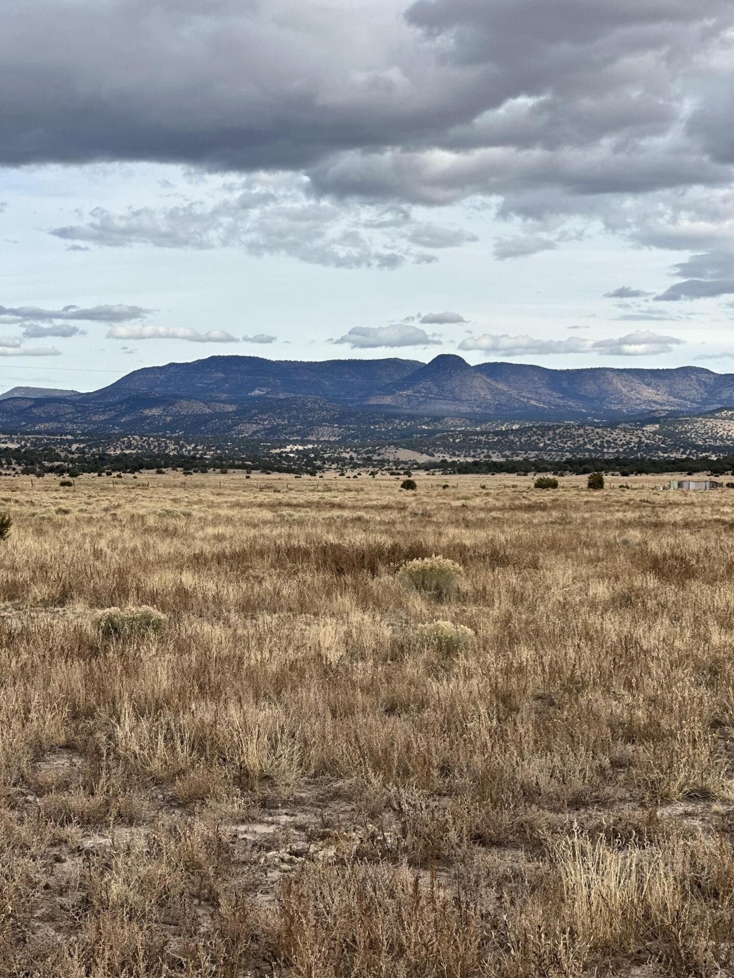 10 acres in Catron County, New Mexico