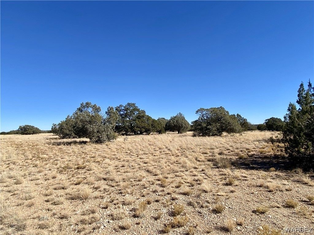 40 acres in Yavapai County, Arizona