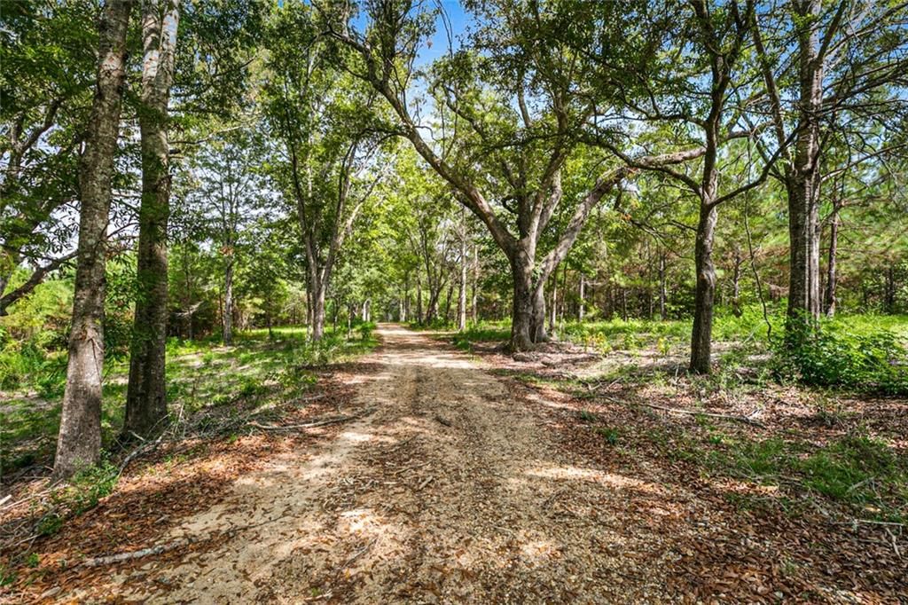 52 acres in Washington Parish, Louisiana