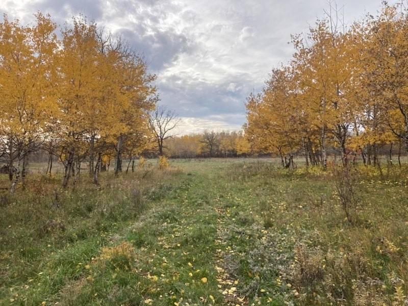 150 acres in Pembina County, North Dakota