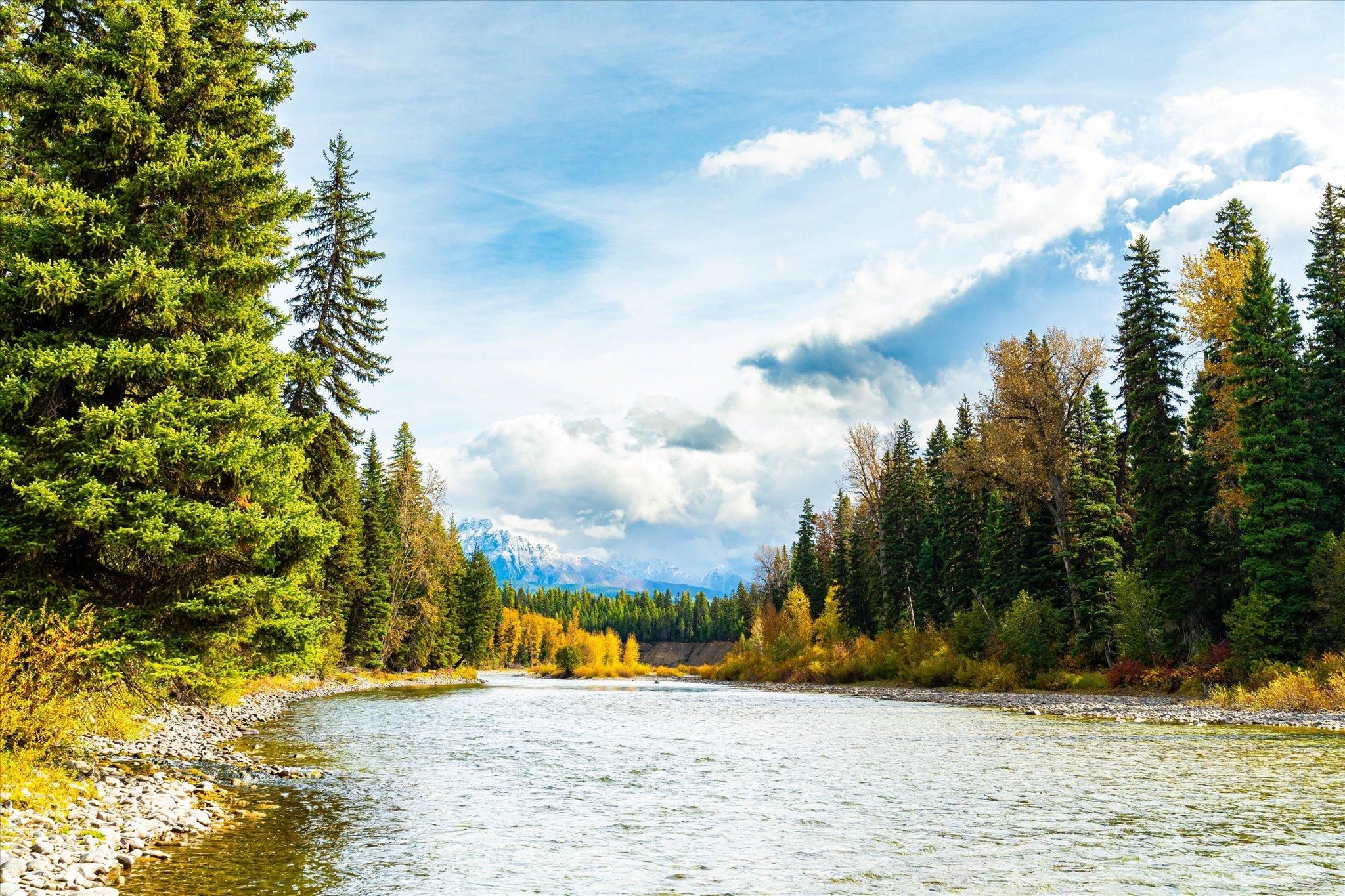 13800 North Fork Road, Polebridge, MT 59928 MLS 30014711