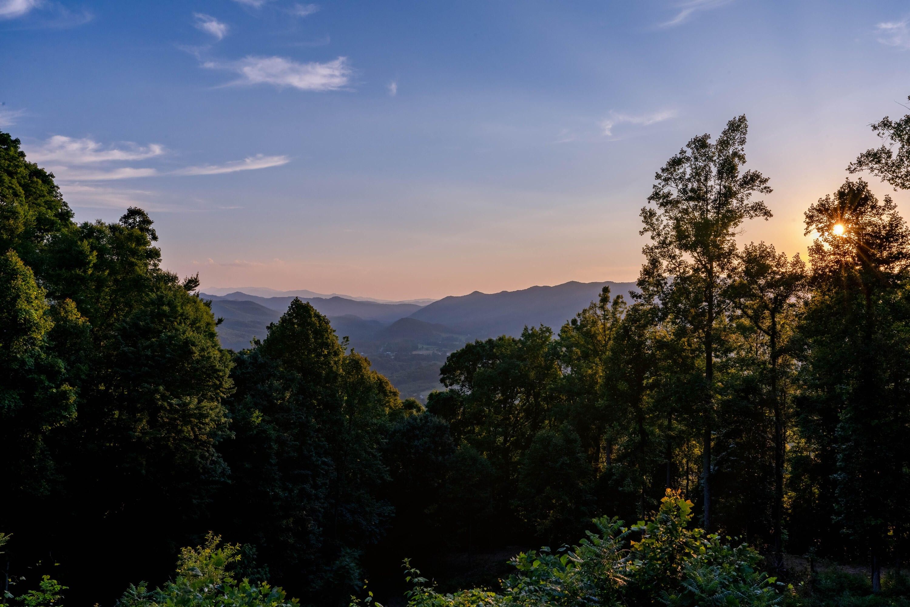 Homes For Sale In Unicoi Tn - r8ag5zj