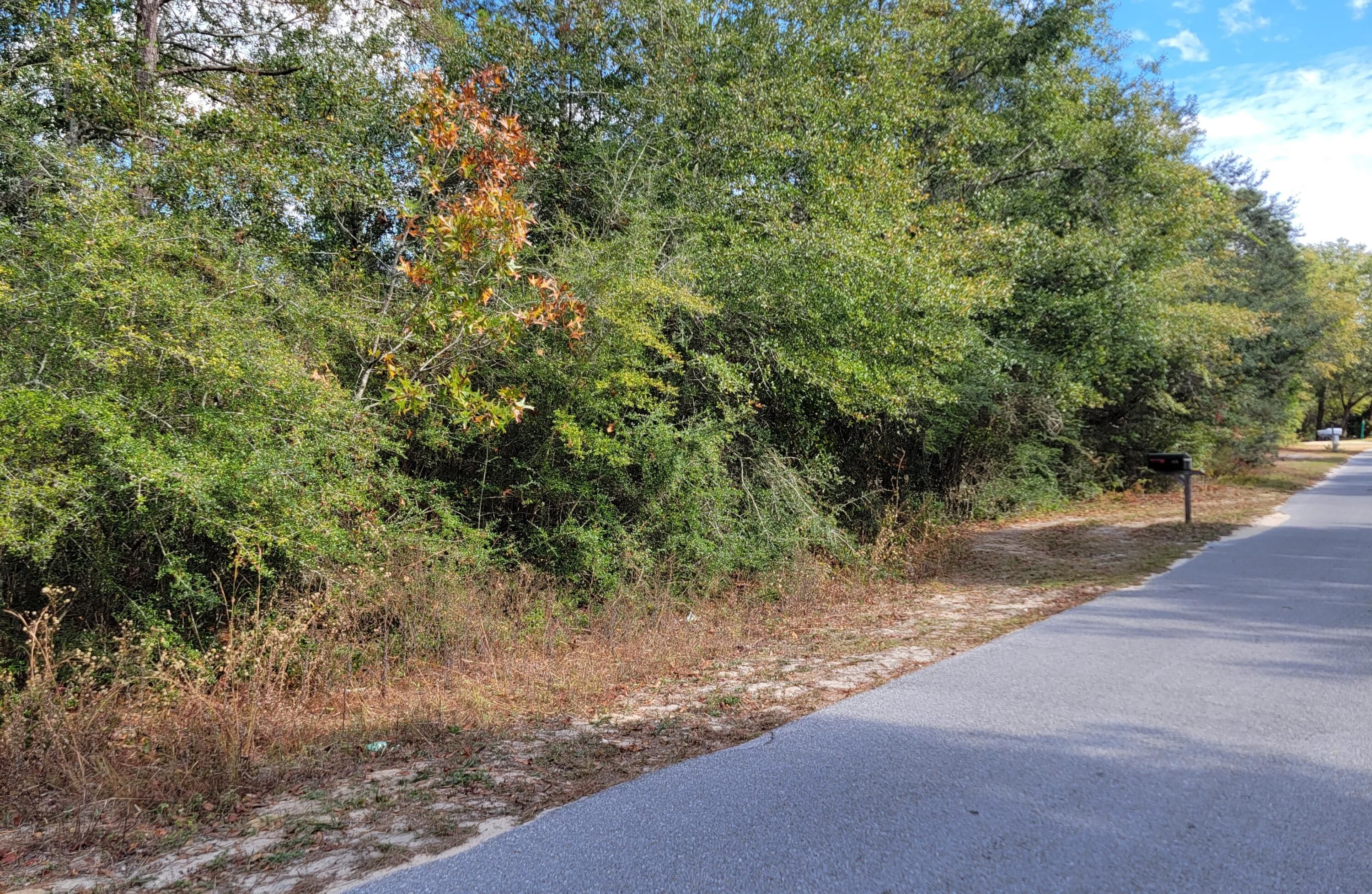 1.13 acres in Walton County, Florida