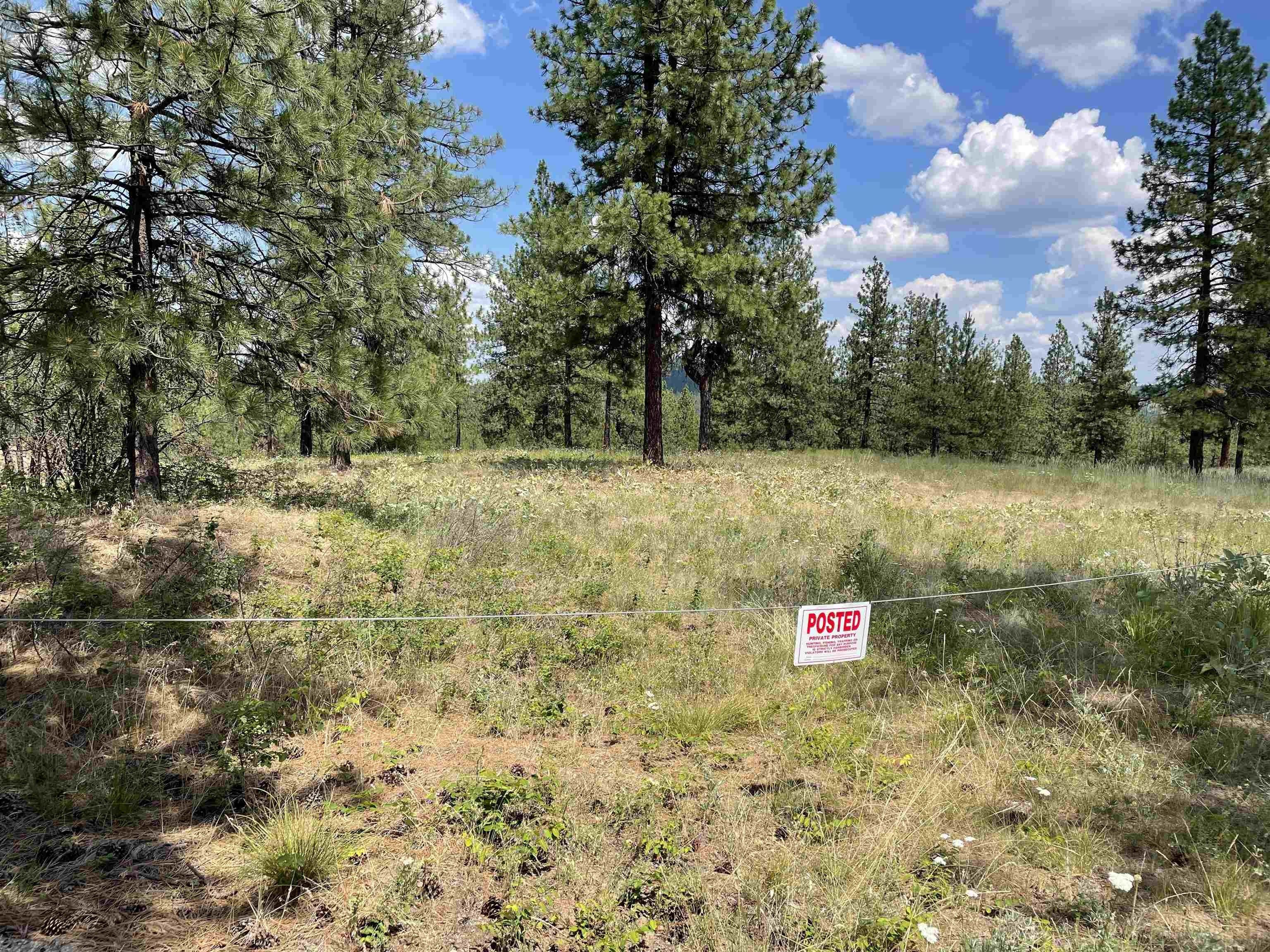 10 acres in Stevens County, Washington