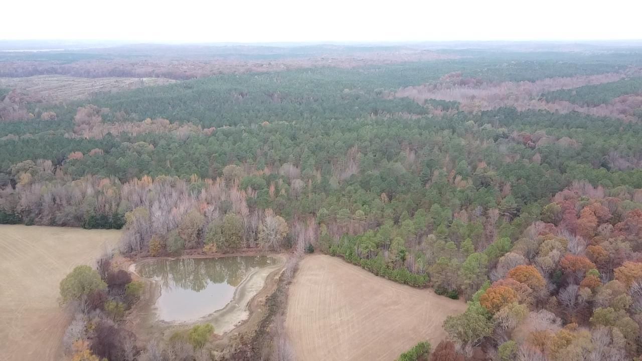 163 Acres, Calhoun County, MS, Grenada, MS 38915