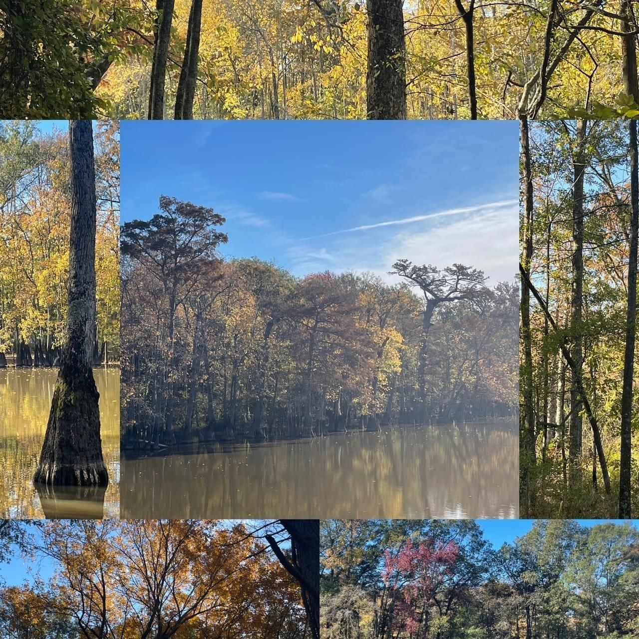 97 acres in Lee County, Arkansas