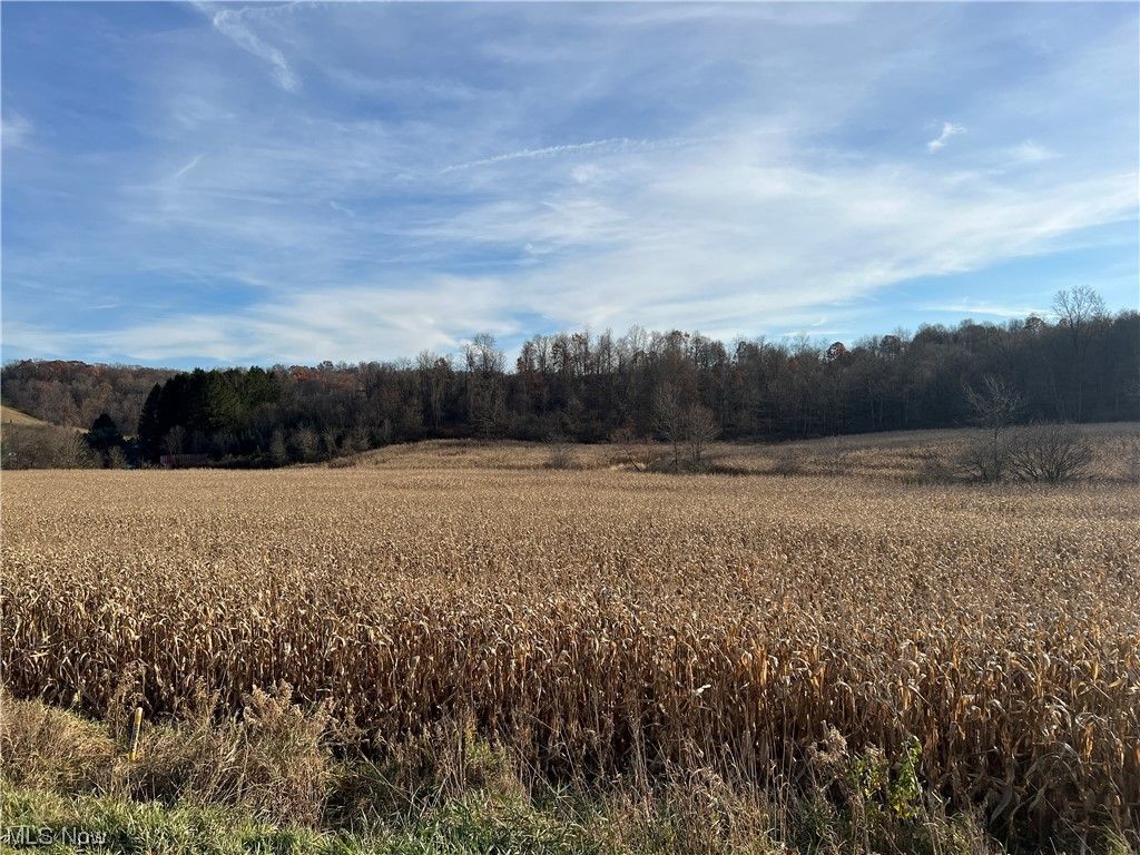 11 acres in Holmes County, Ohio