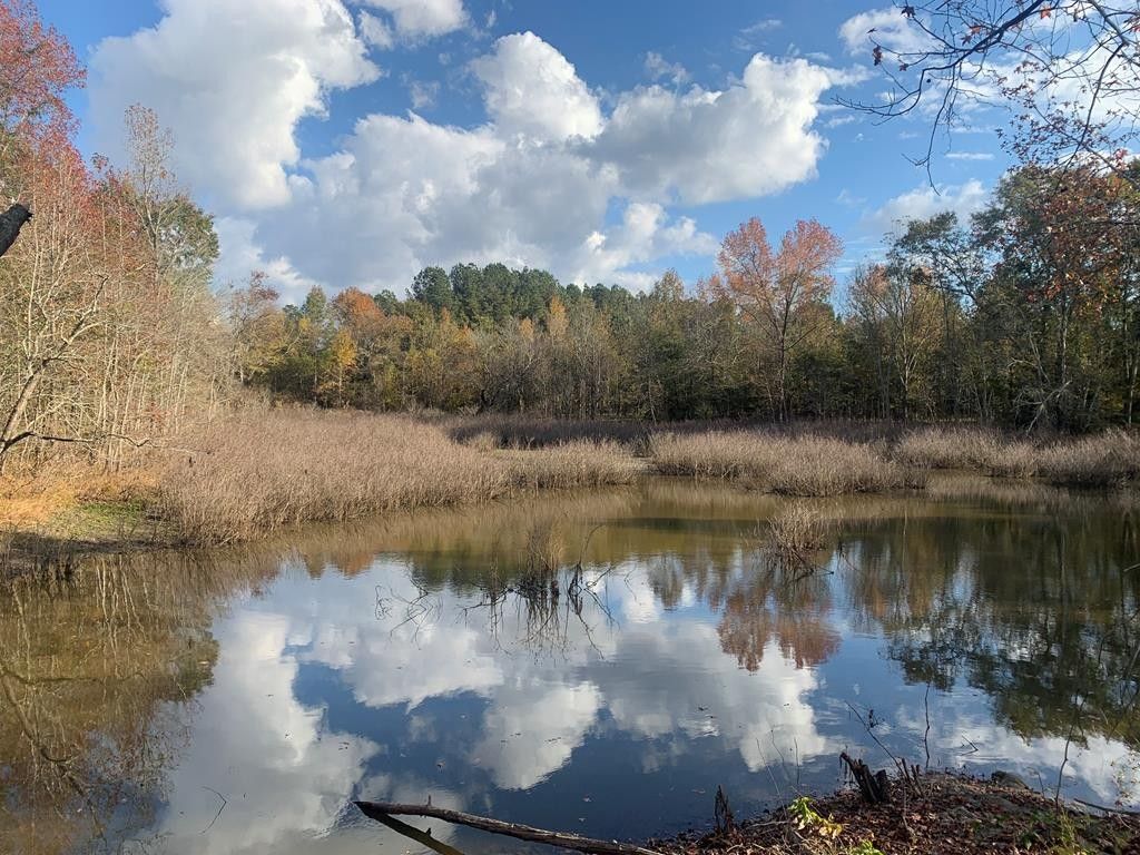 13.91 acres in Crisp County,