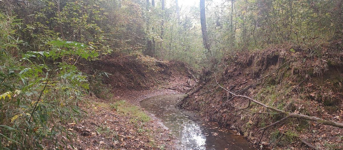 County Road 4210, Timpson, TX 75975