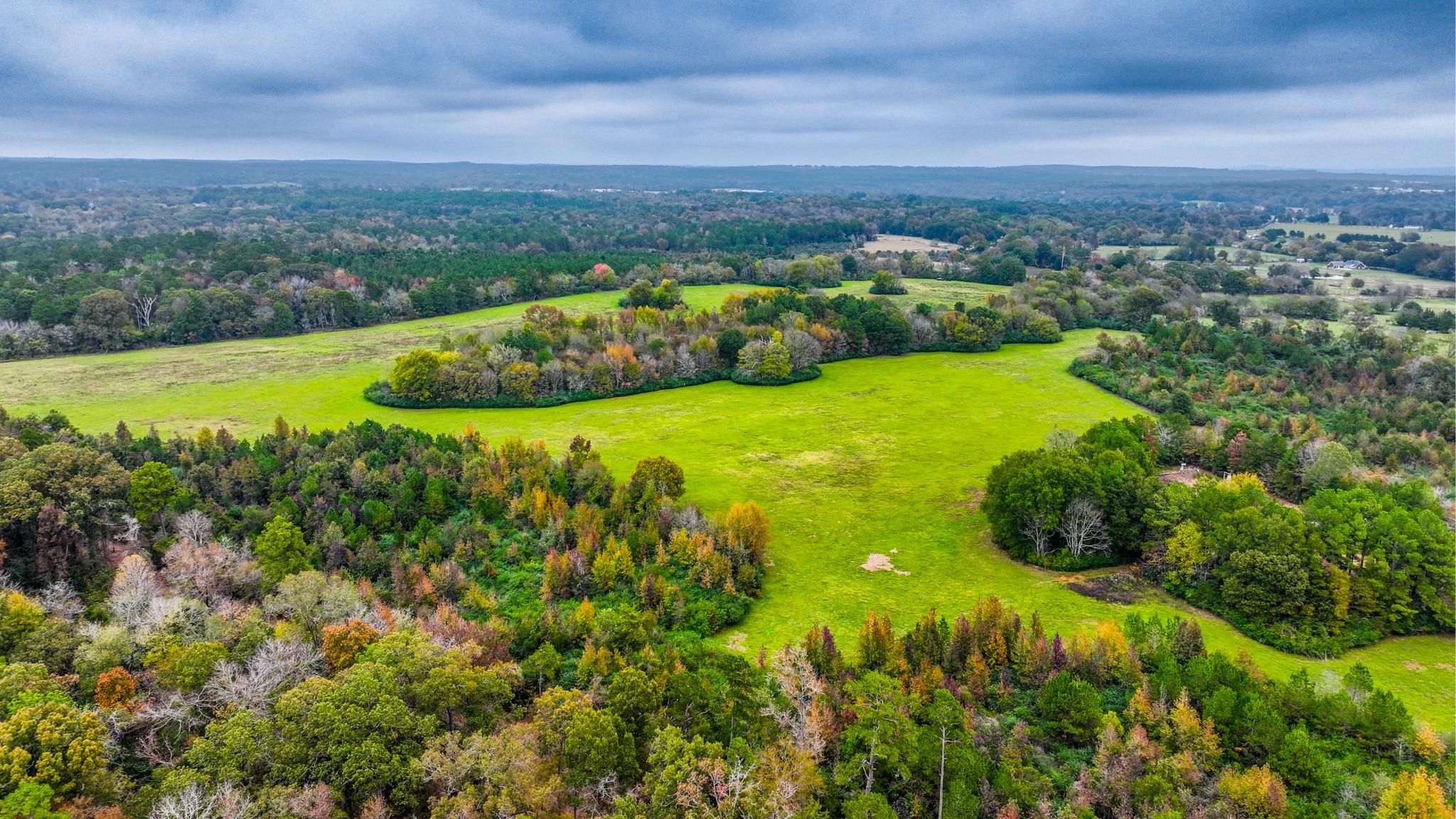 78 acres in Nacogdoches County, Texas