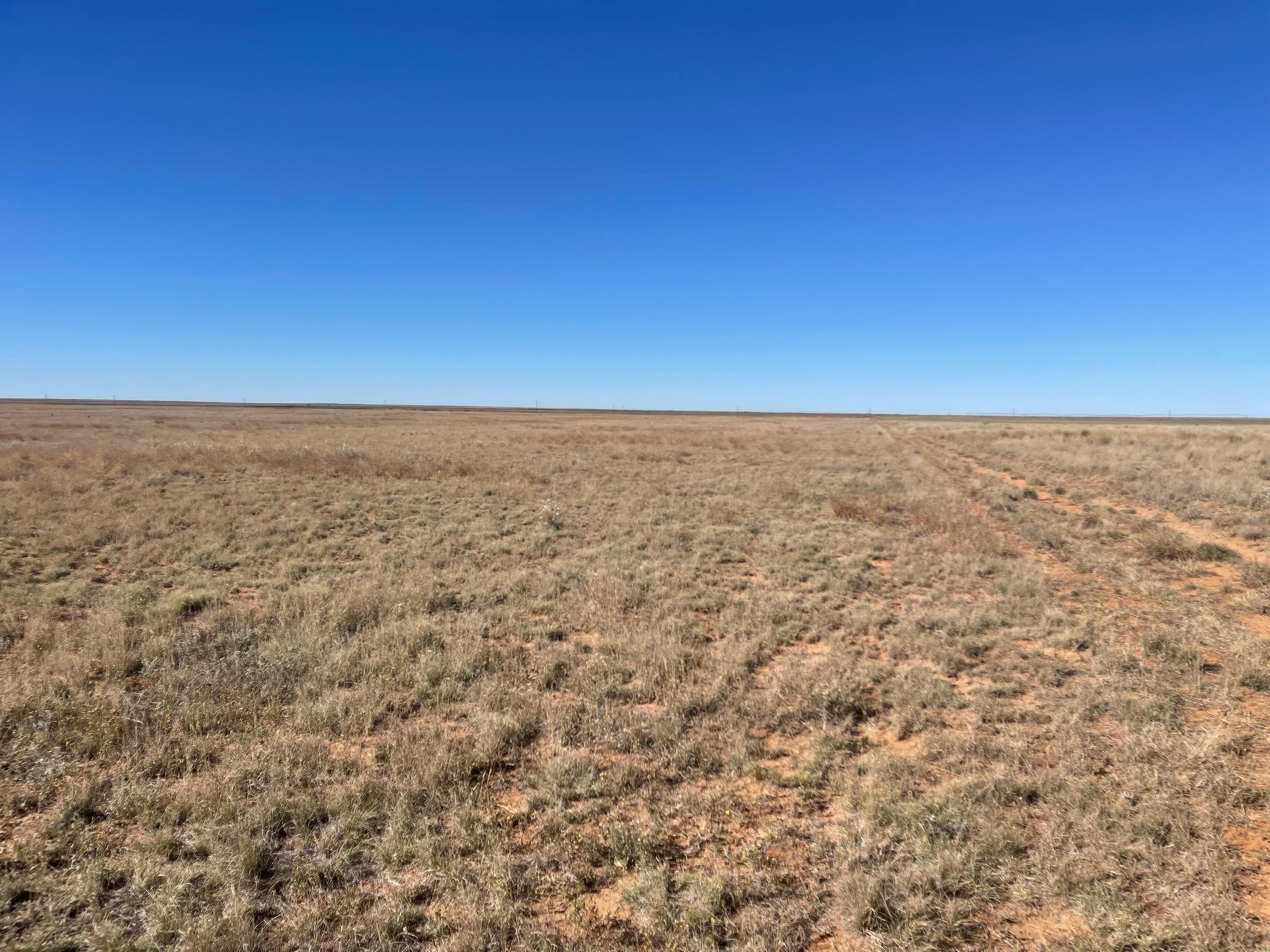 354 acres in Cochran County, Texas