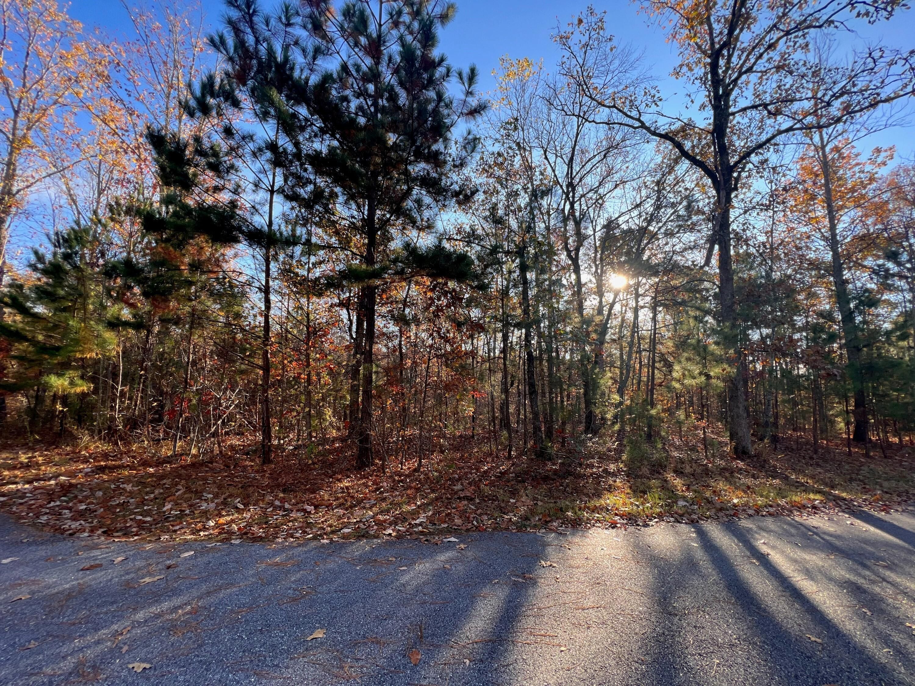 2 acres in Harris County,