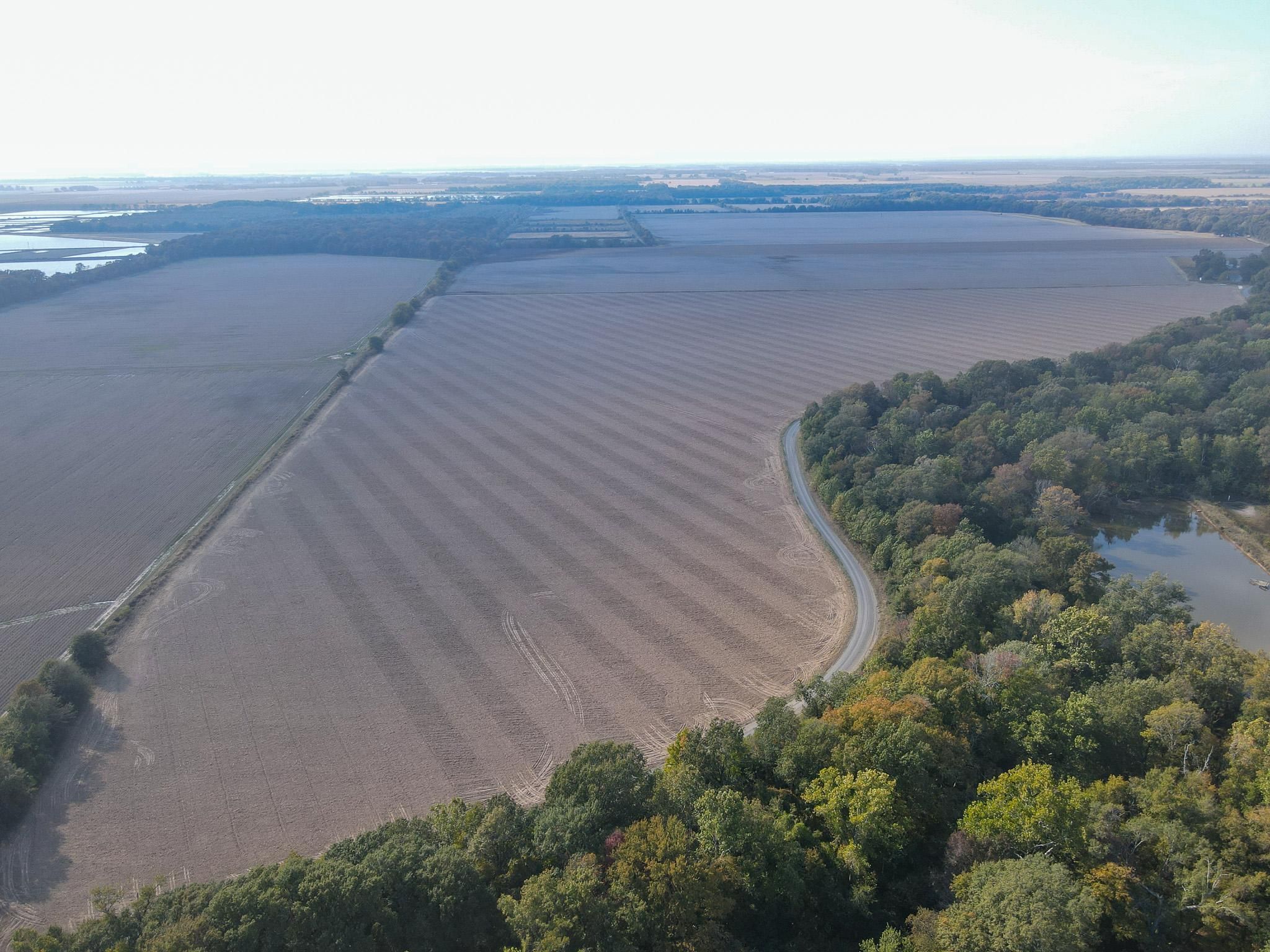 220 acres in Lonoke County, Arkansas