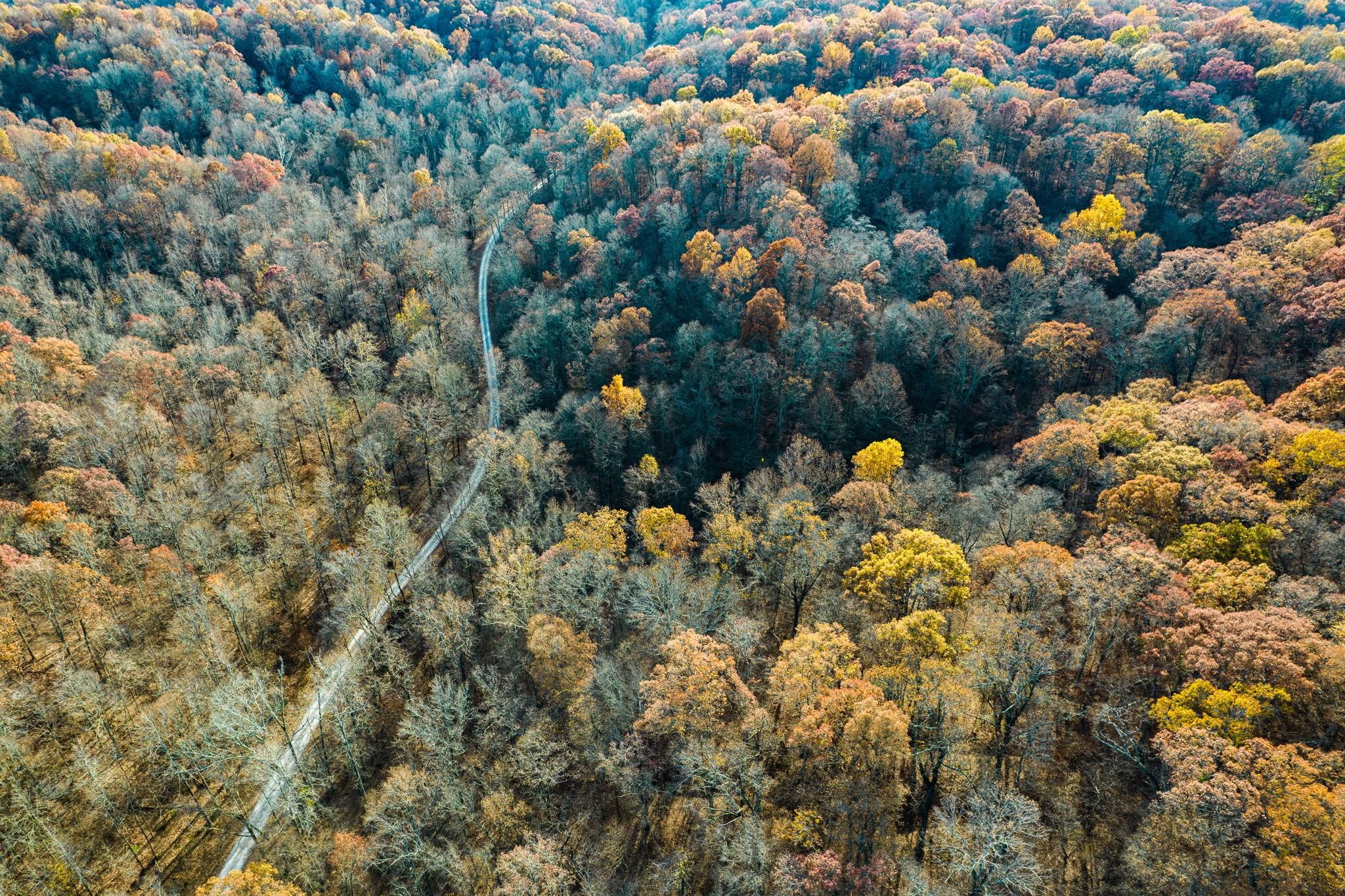 5 acres in Alexander County, Illinois