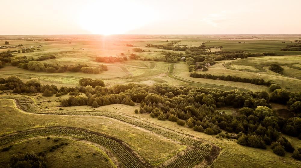 237 acres in Jewell County, Kansas