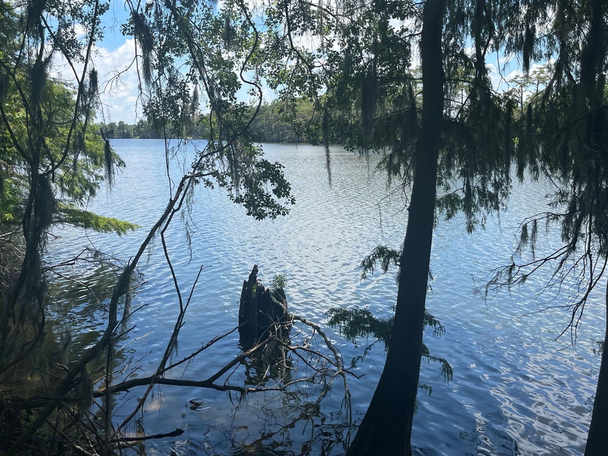 160 acres in Montgomery County, Mississippi