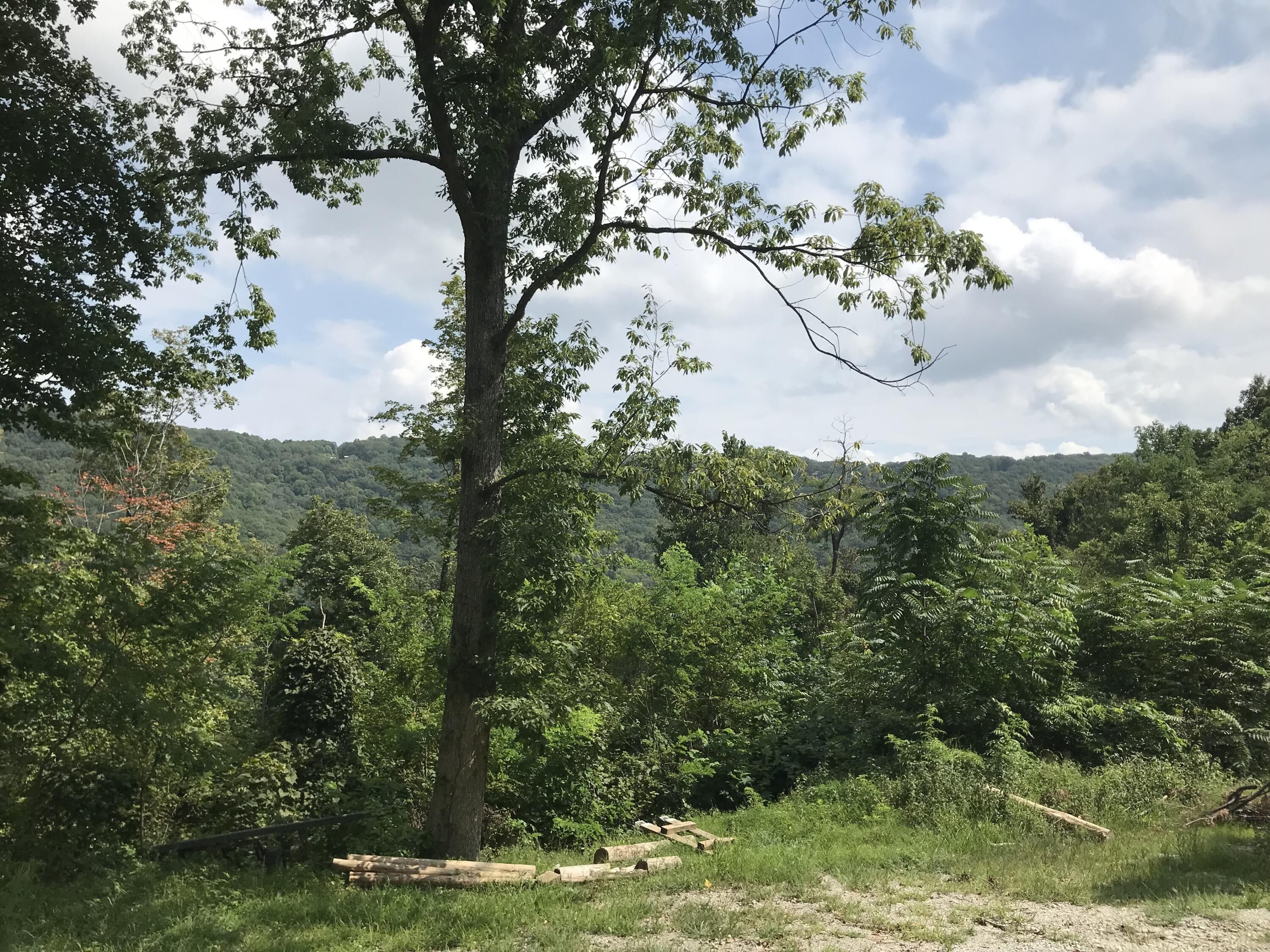 68.43 acres in Grundy County, Tennessee