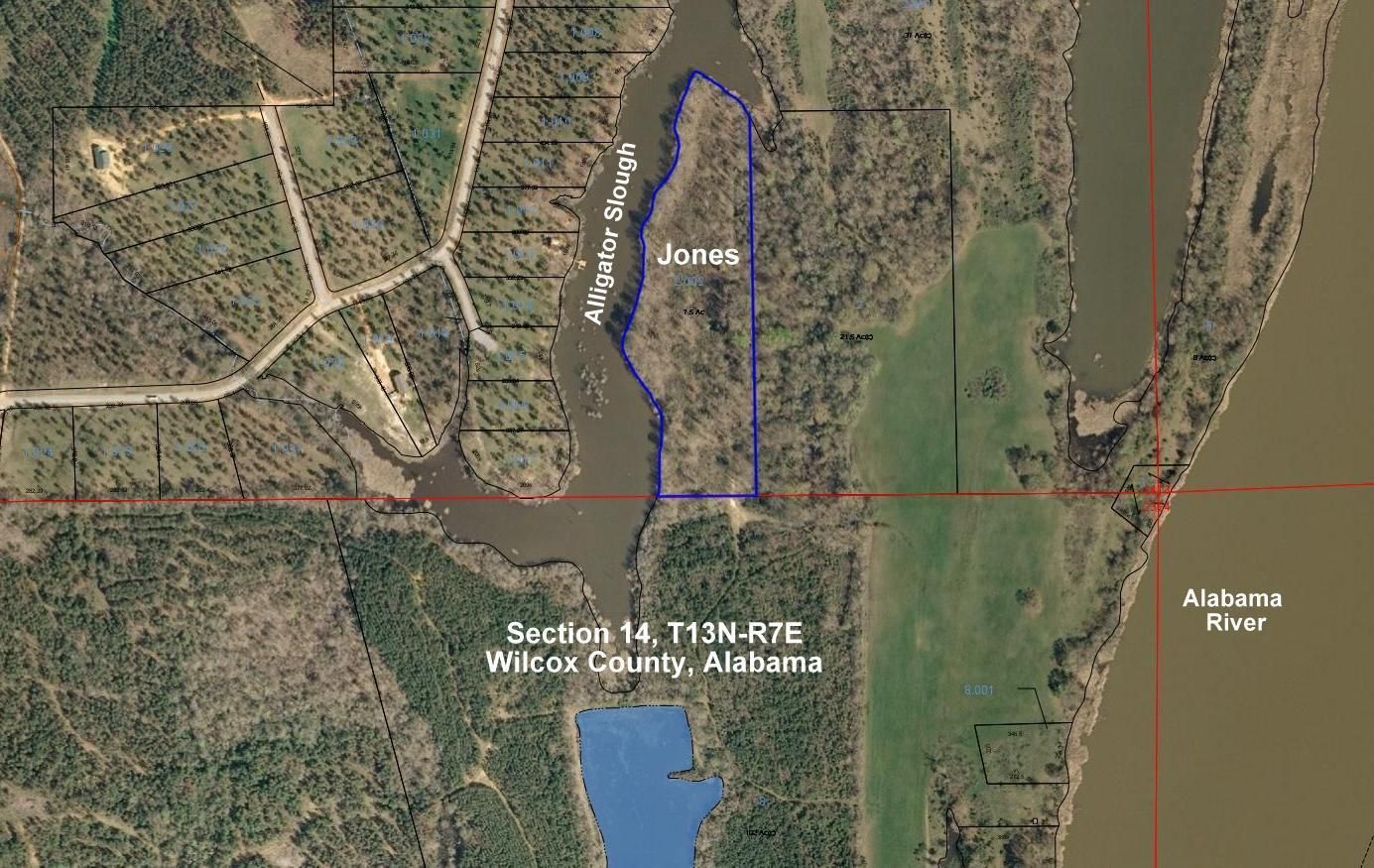 8.2 acres in Wilcox County, Alabama