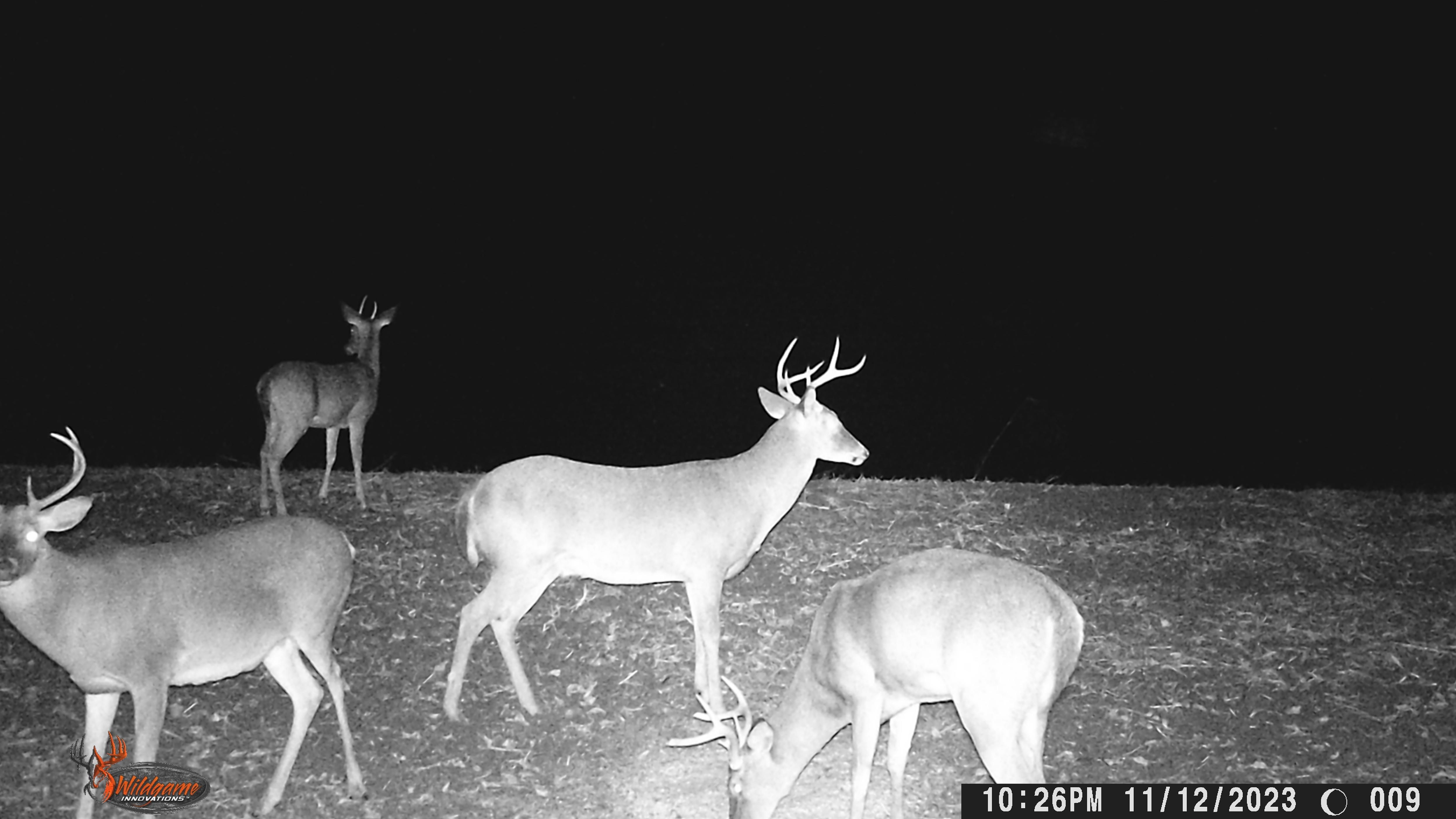 U. S. Highway 71, Lebeau, LA 71345