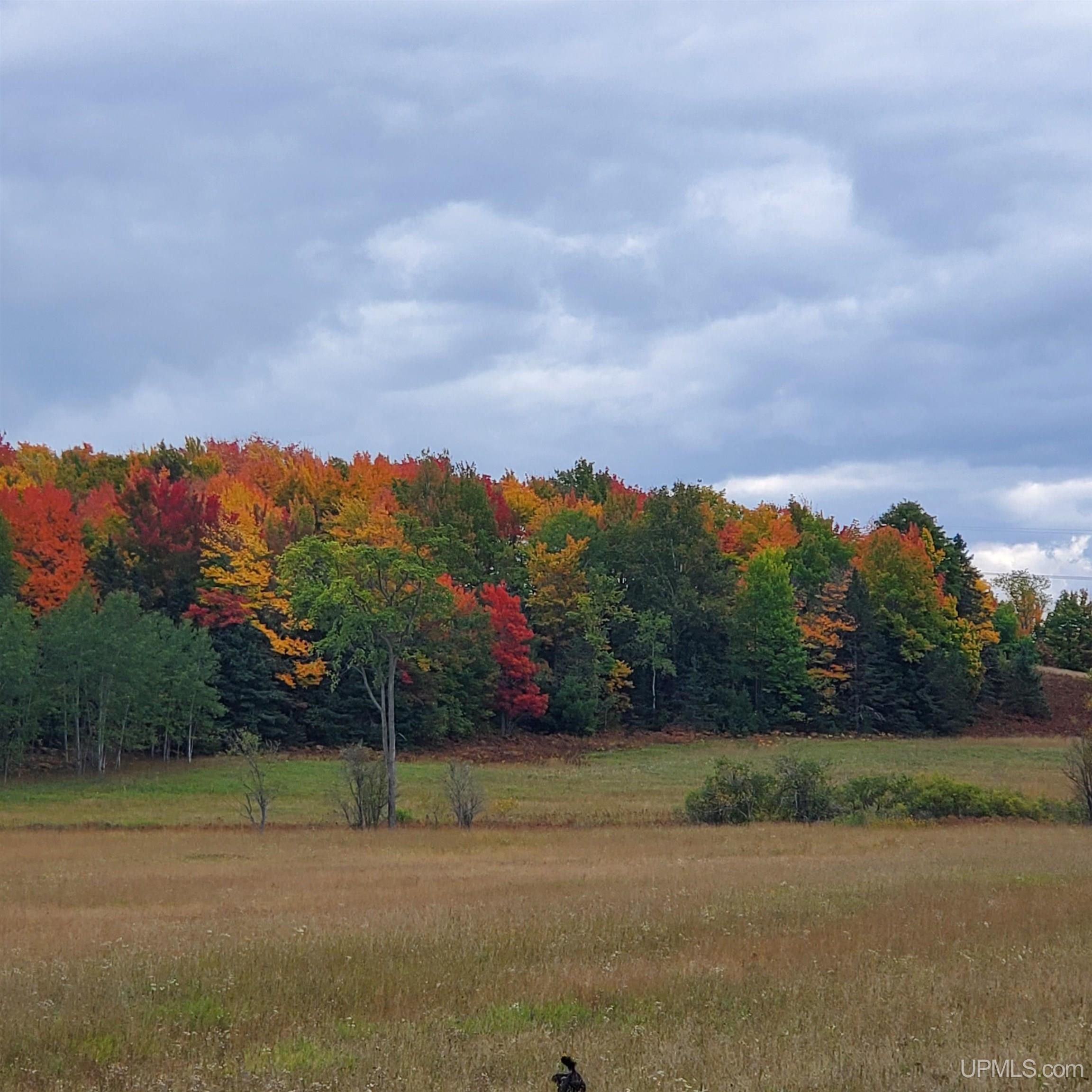 40 acres in Baraga County, Michigan