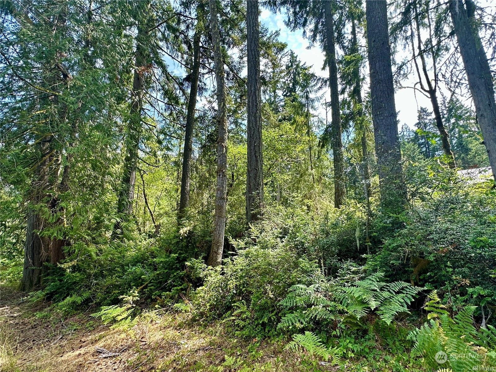 0.24 acres in Pierce County, Washington
