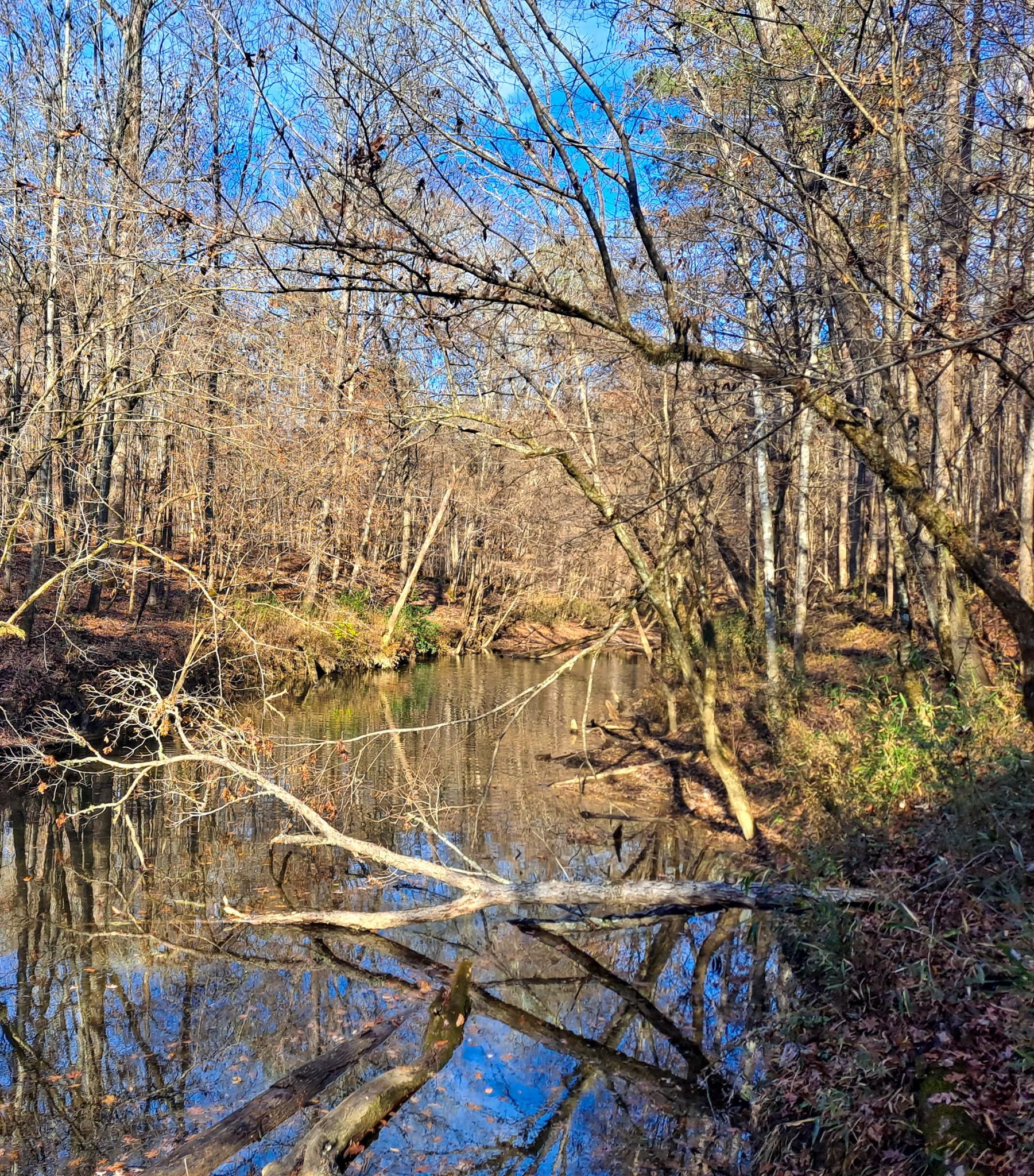 125 acres in Walker County, Alabama