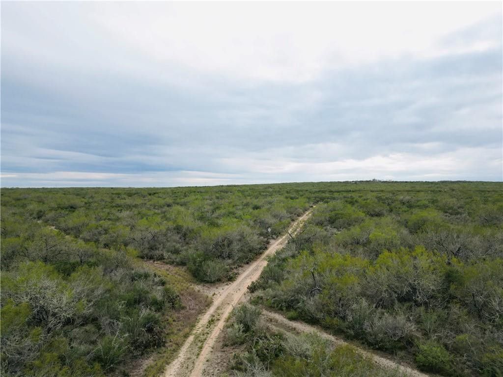 50 acres in Duval County, Texas