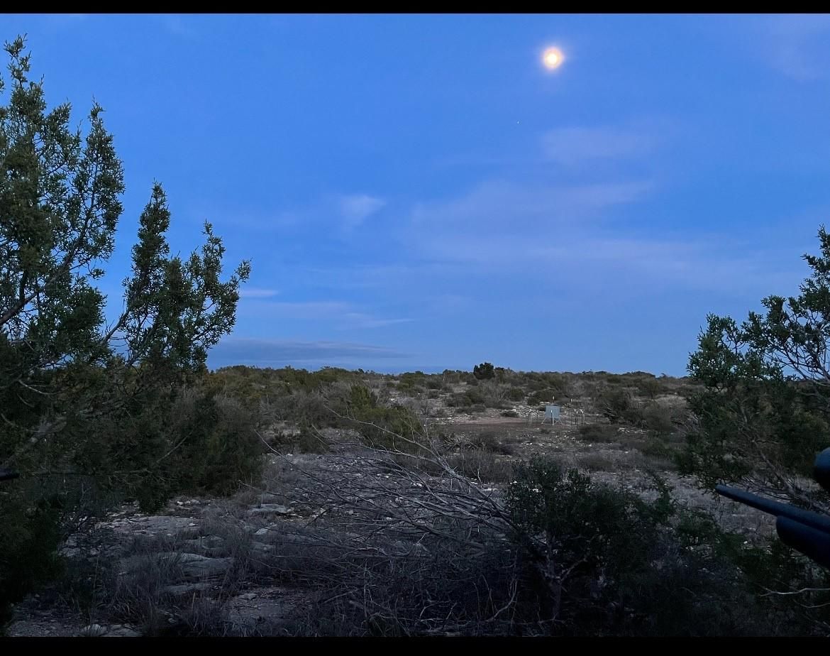 Murphy Road, Juno, TX 78837 MLS 1735941