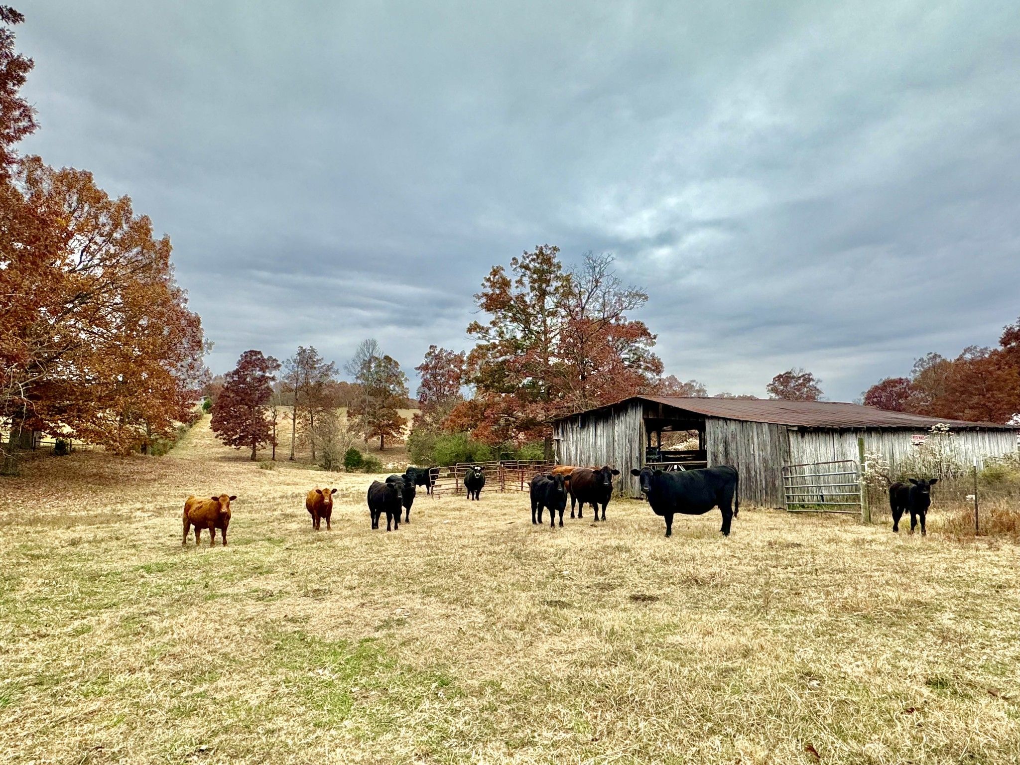 25 acres in Dickson County, Tennessee