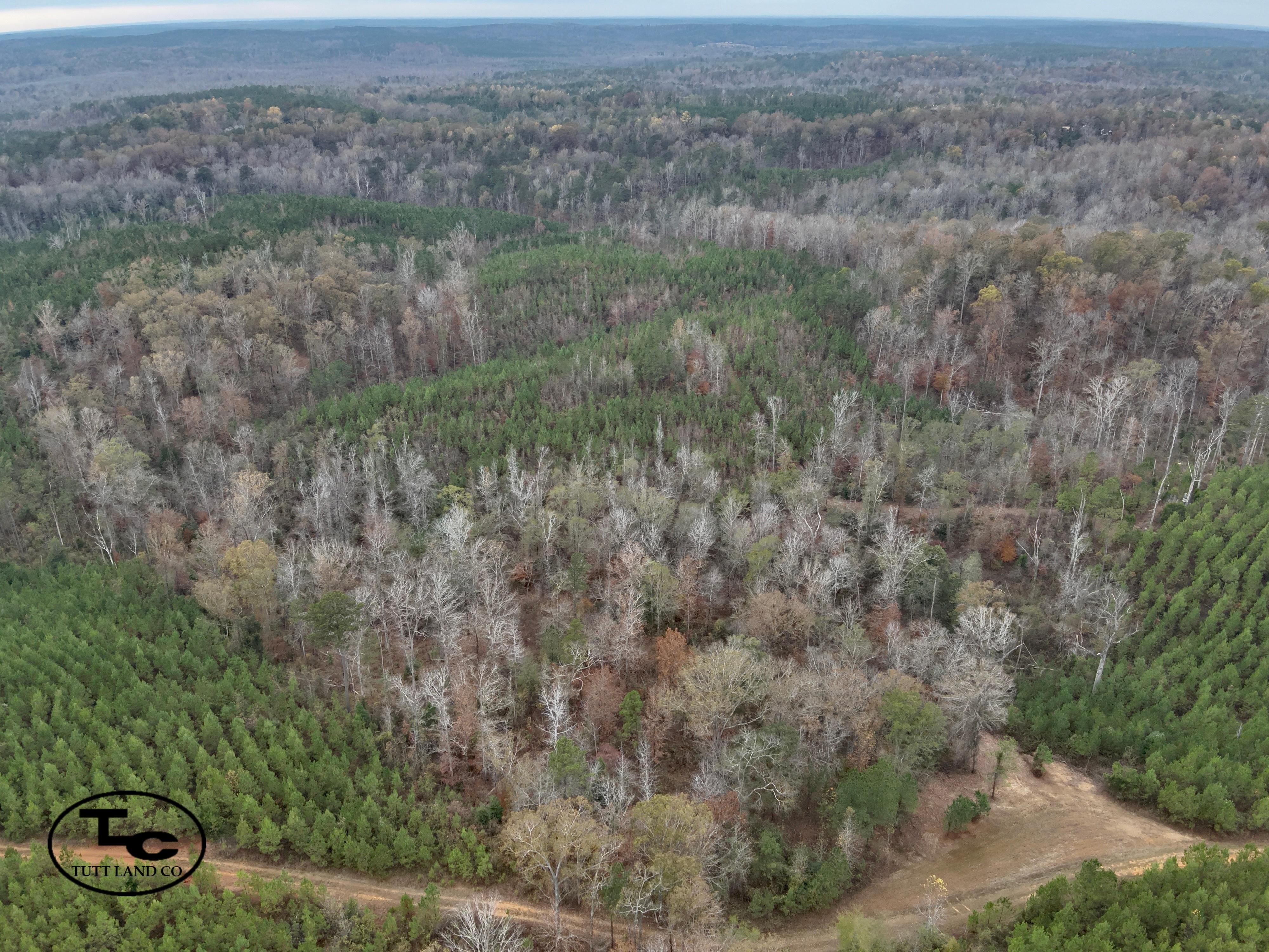 50 acres in Hale County, Alabama