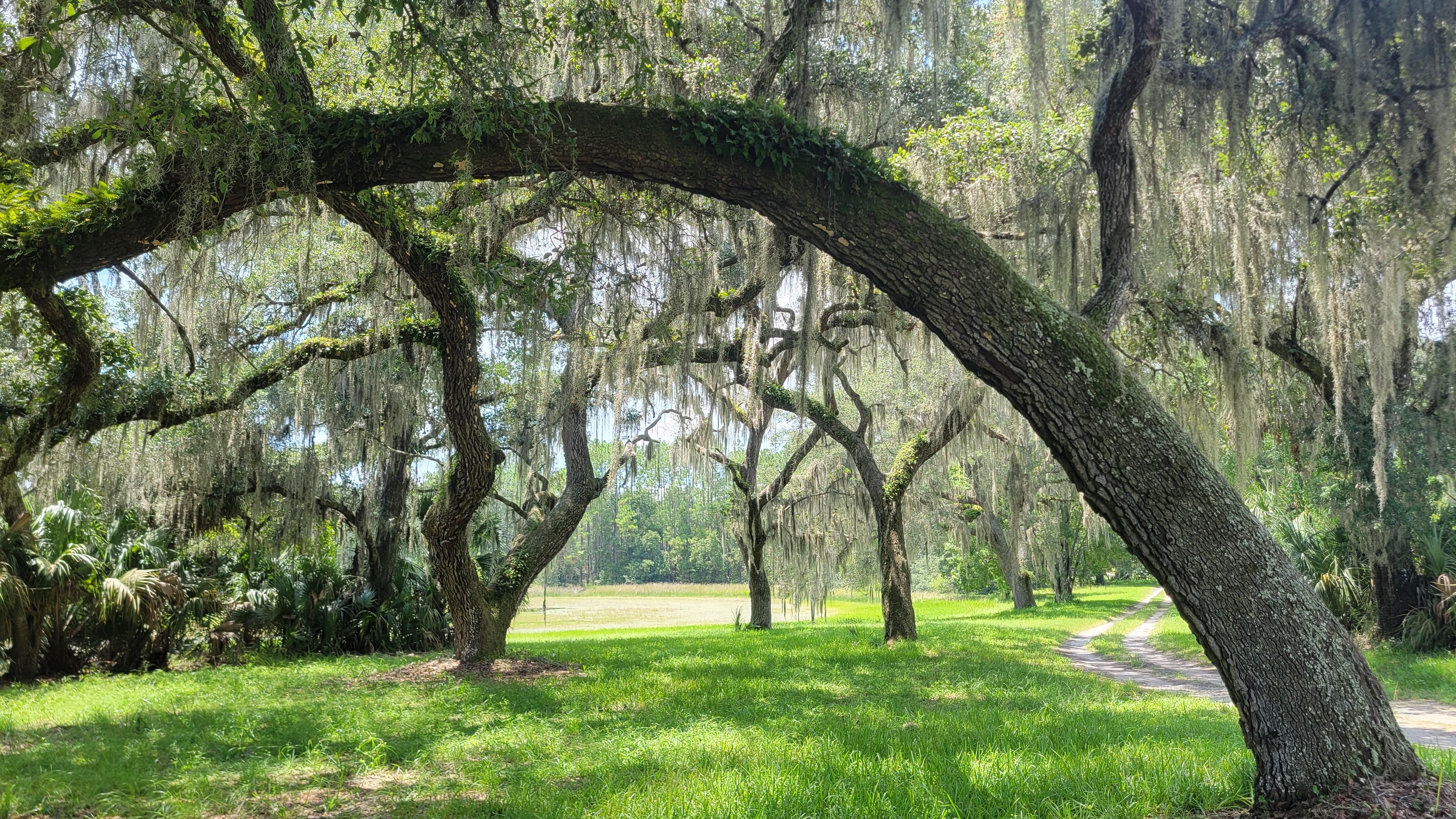 acres in Fort McCoy, FL, 32134