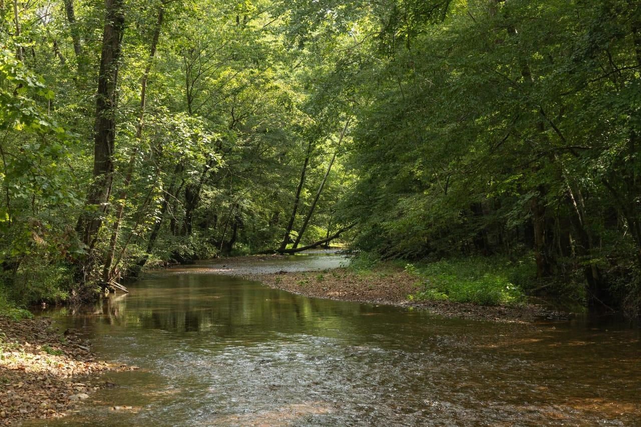 0 White House Road, McEwen, TN 37101 MLS 2557532