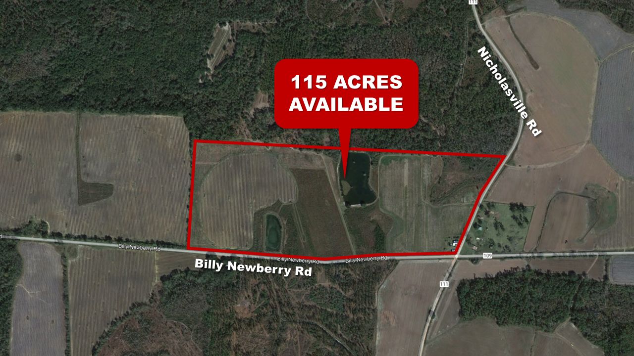 115 acres in Early County,