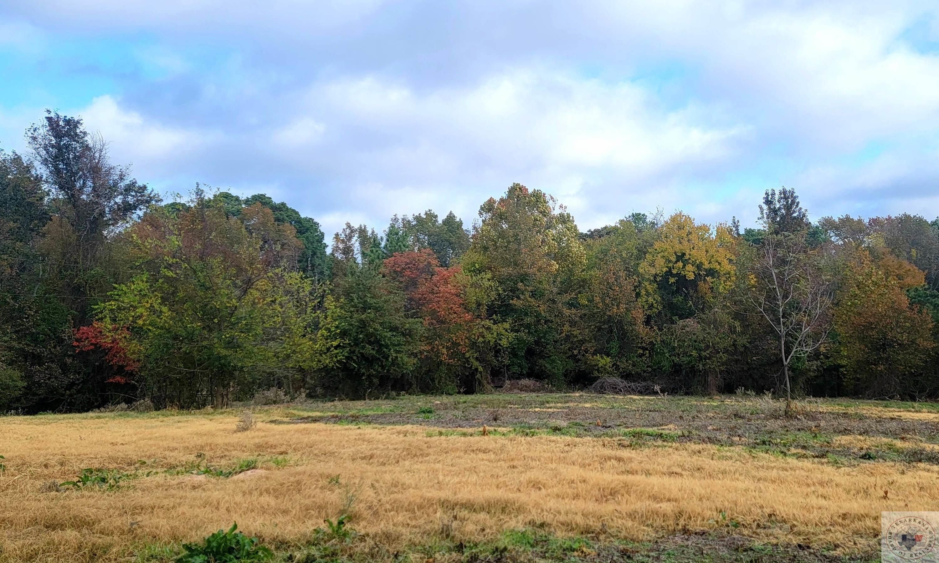 35 acres in Red River County, Texas