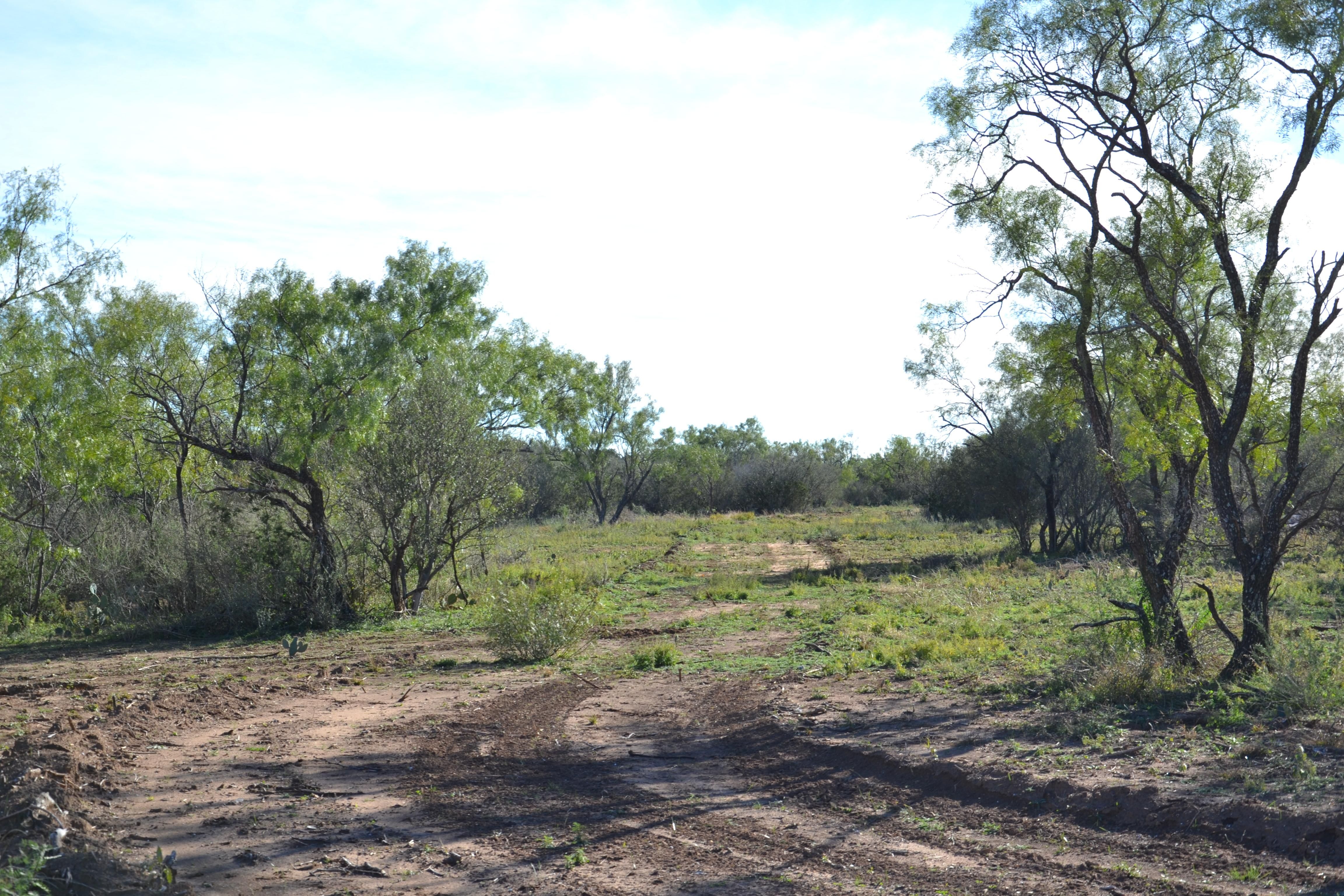 20 acres in Kimble County, Texas