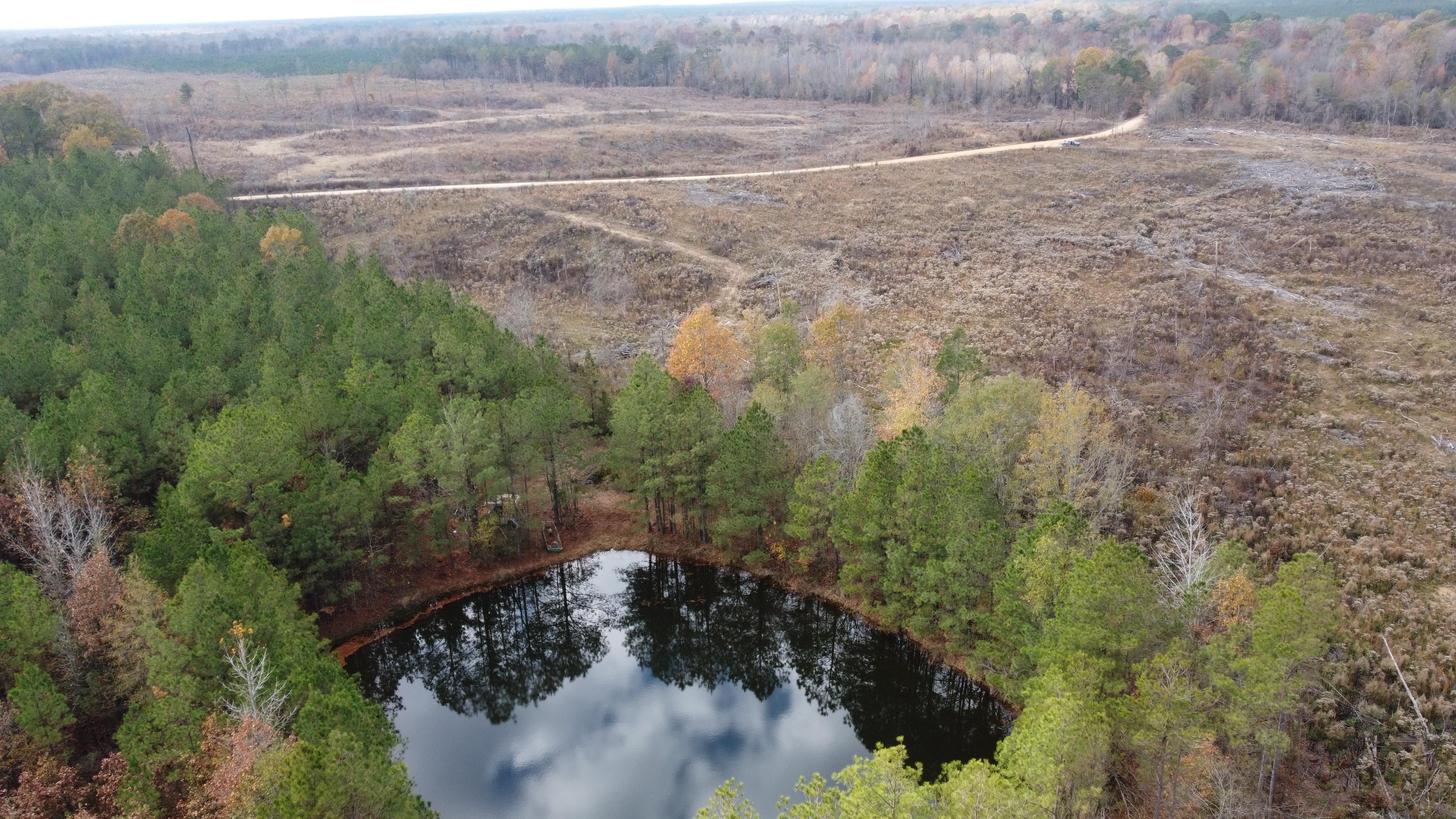 170 acres in Ashley County, Arkansas