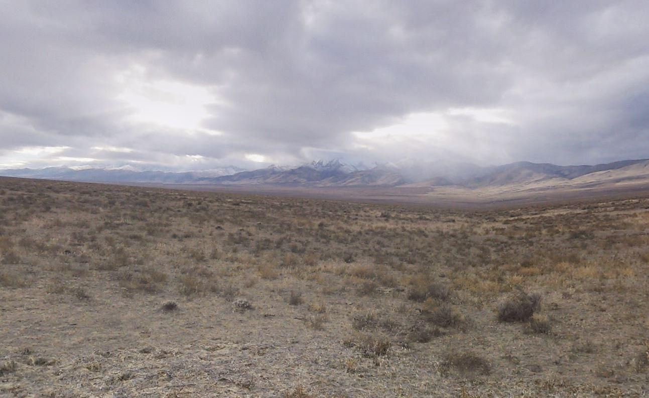 640 Acres In Pershing County, Nevada