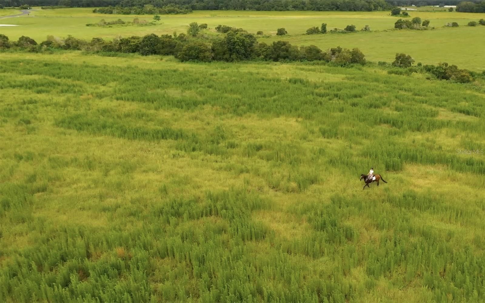 8.28 acres in Manatee County, Florida