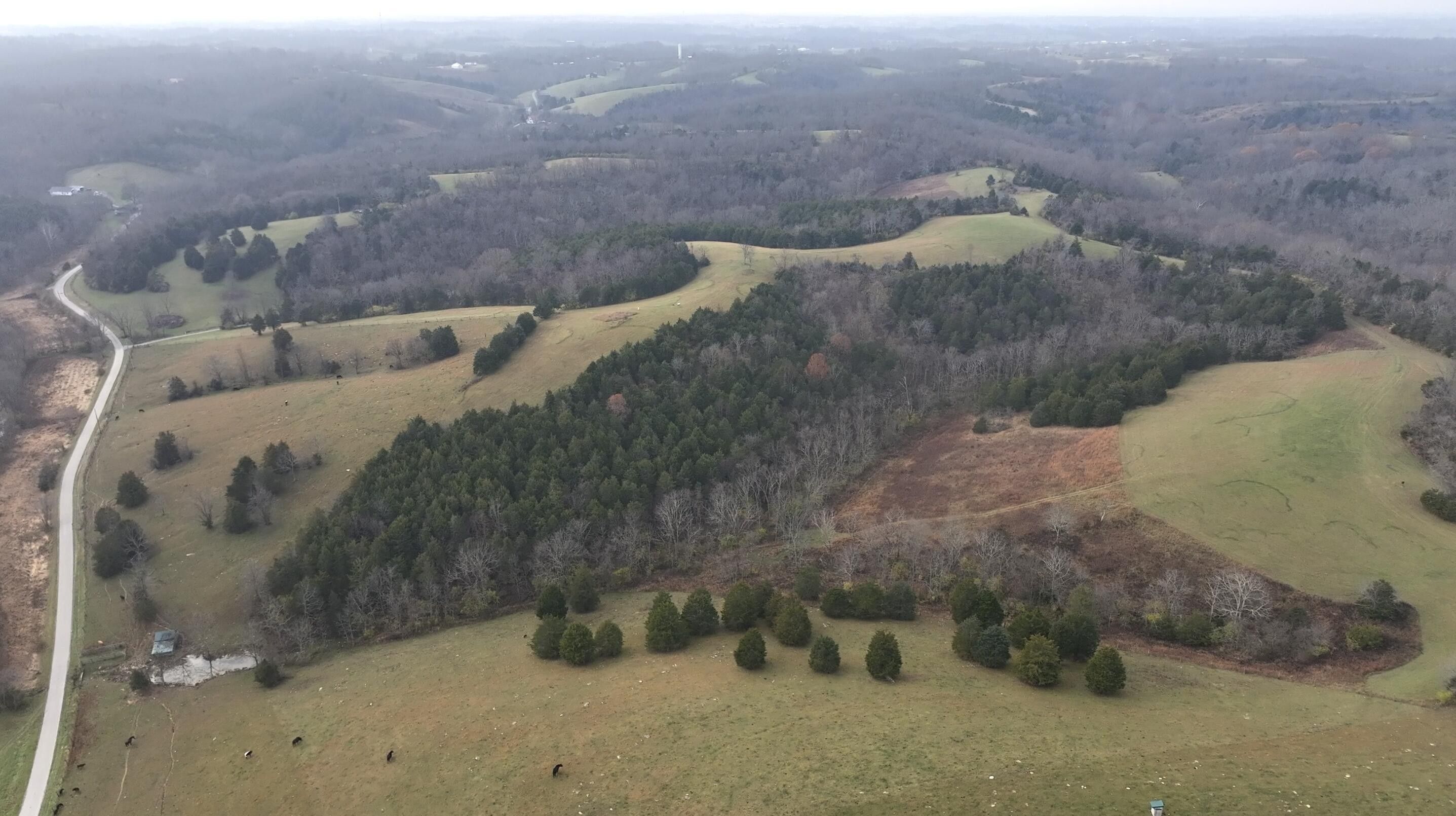 80 acres in Harrison County, Kentucky