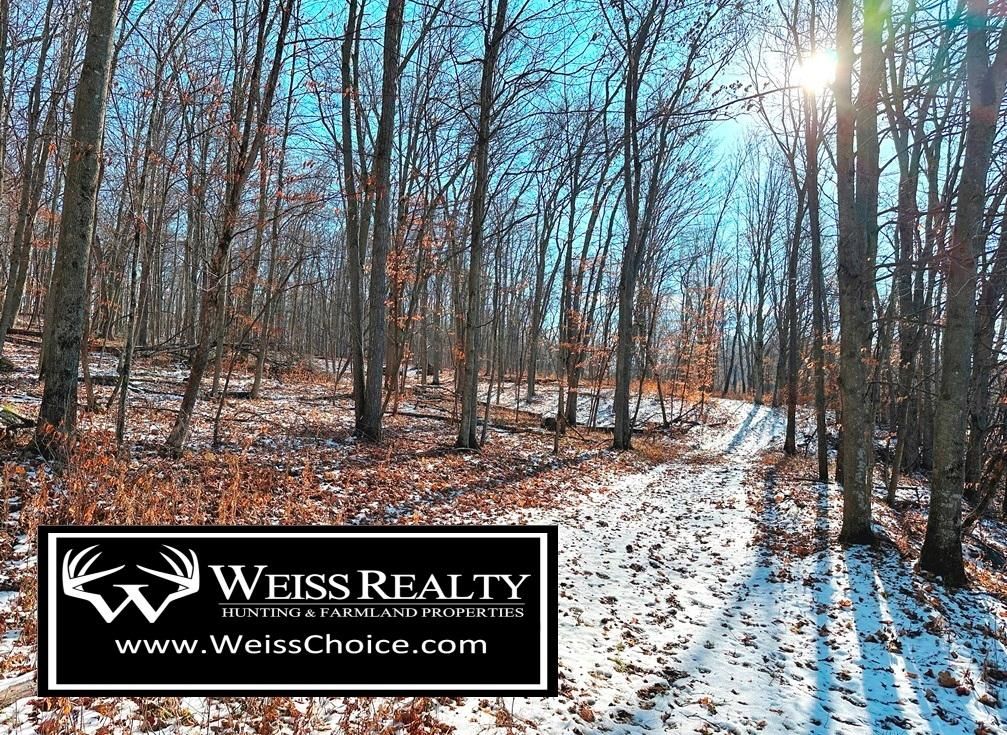 7.4 acres in Crawford County, Wisconsin