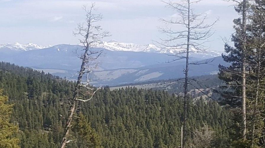 40 acres in Powell County, Montana