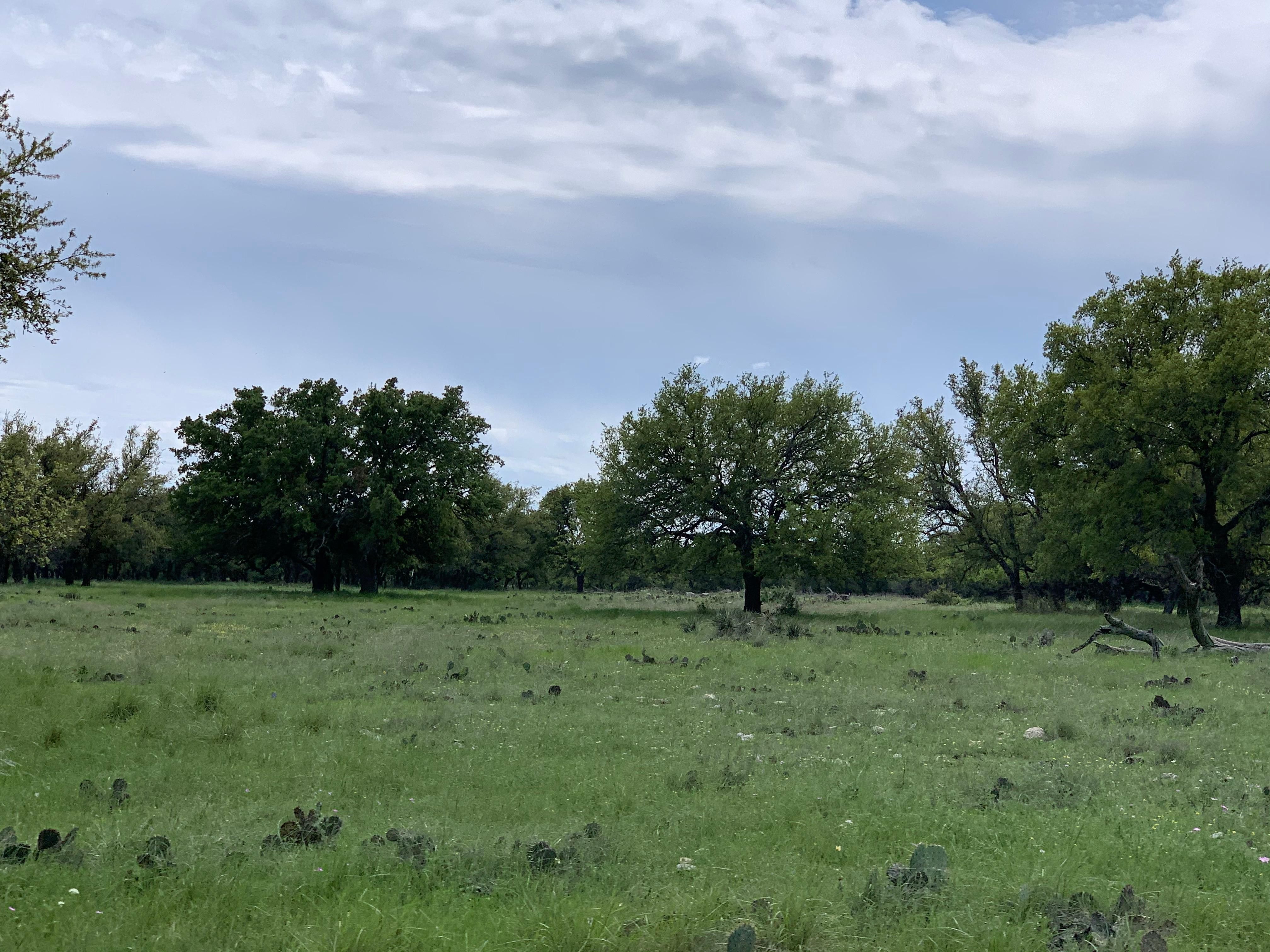 61.17 acres in Menard, TX, 76859