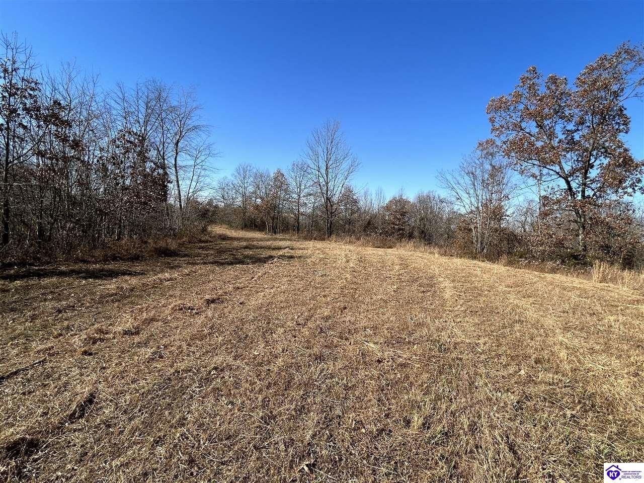 18 acres in Grayson County, Kentucky