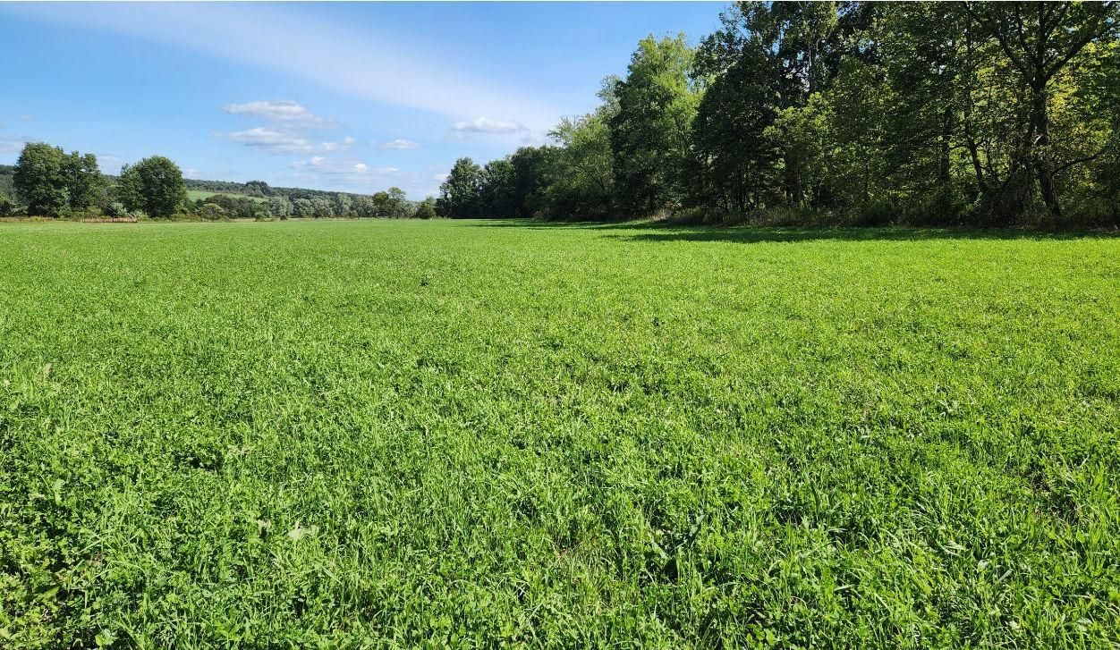 70 acres in Whitney Point, NY, 13862