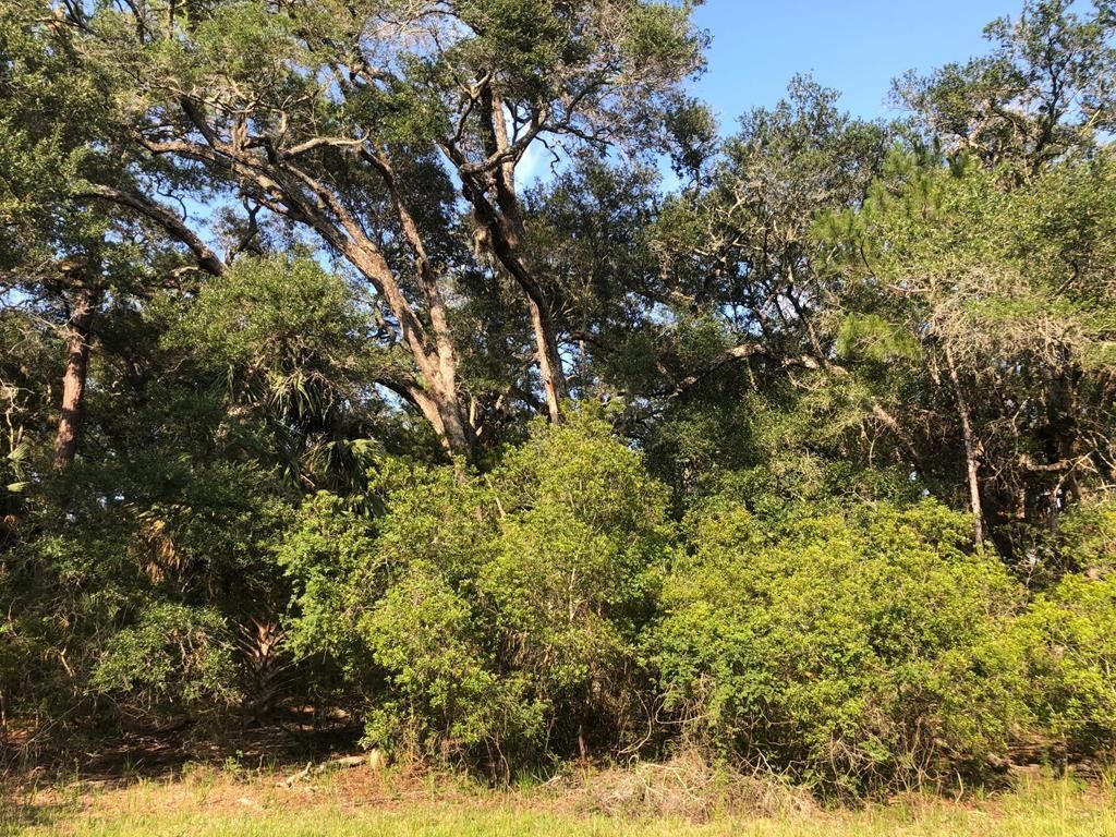20 acres in Levy County, Florida