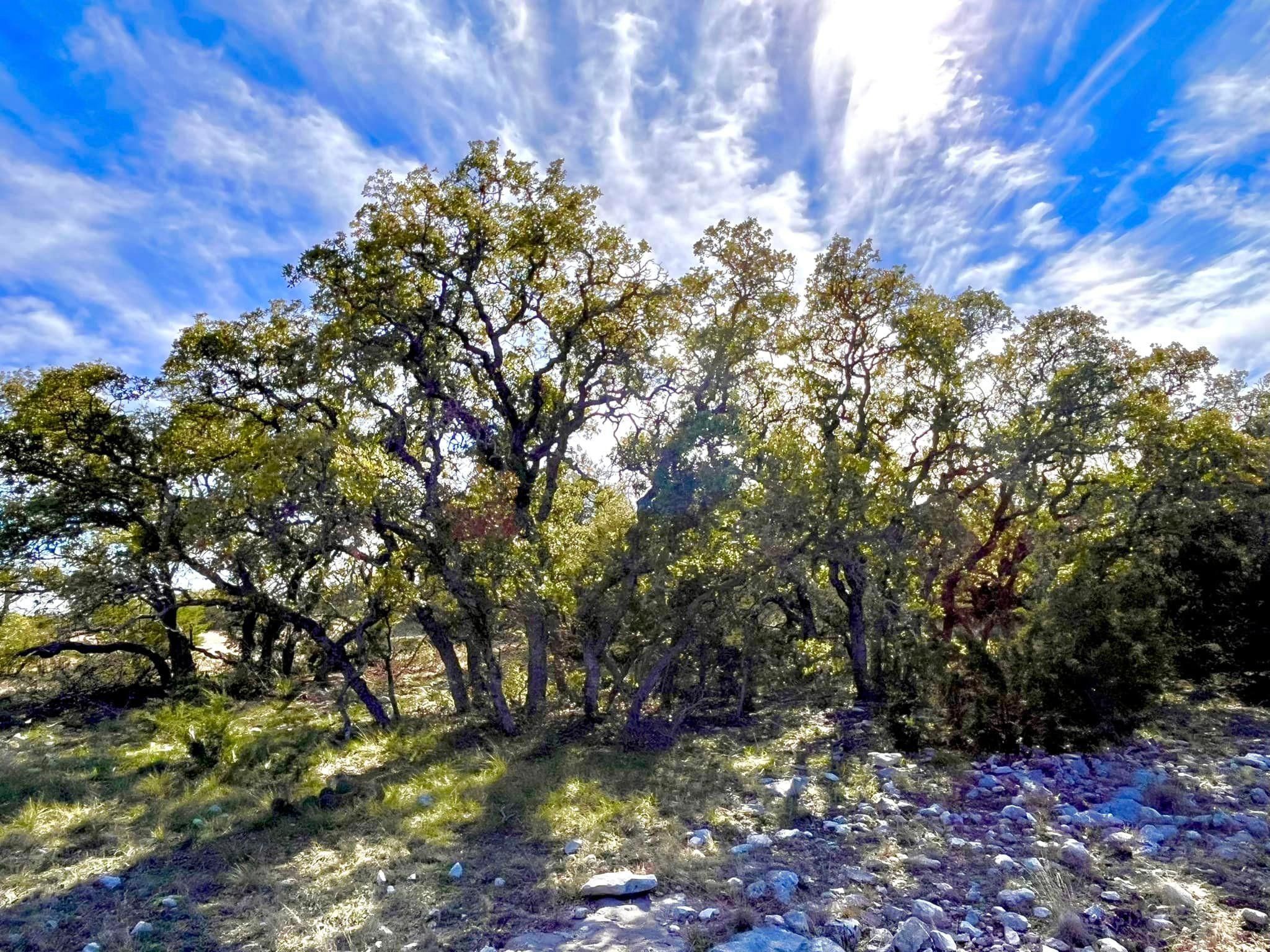 20.57 acres in Eldorado, TX, 76936