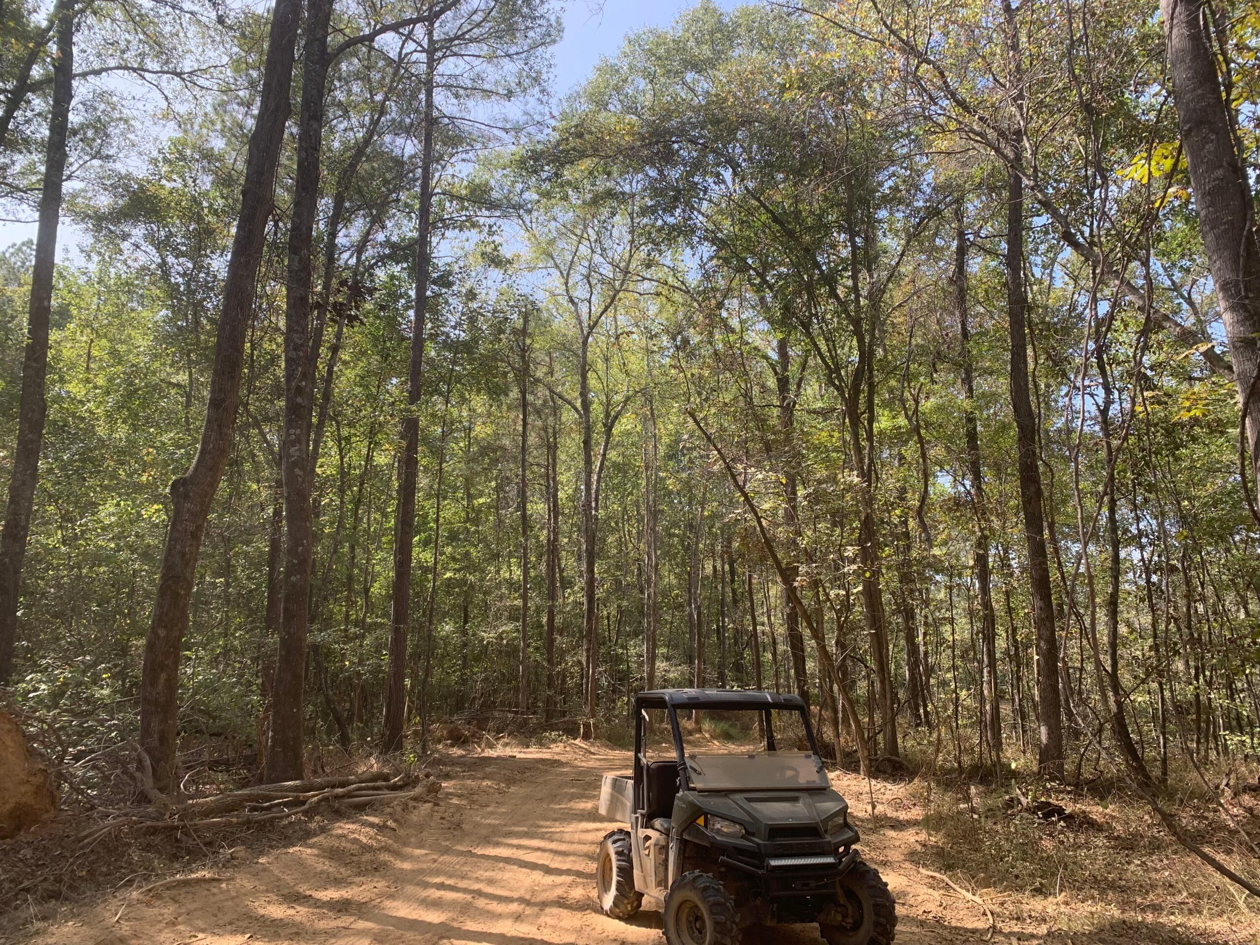 39 Acres, Madison County, MS, Canton, MS 39045