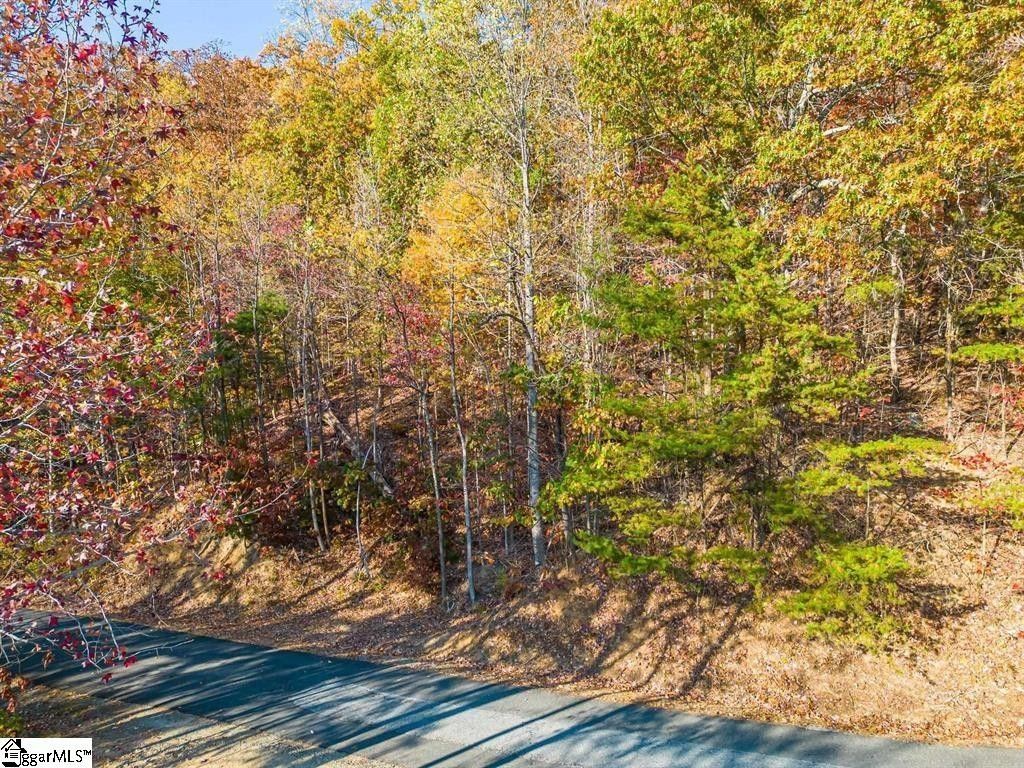 2.72 acres in Polk County, North Carolina